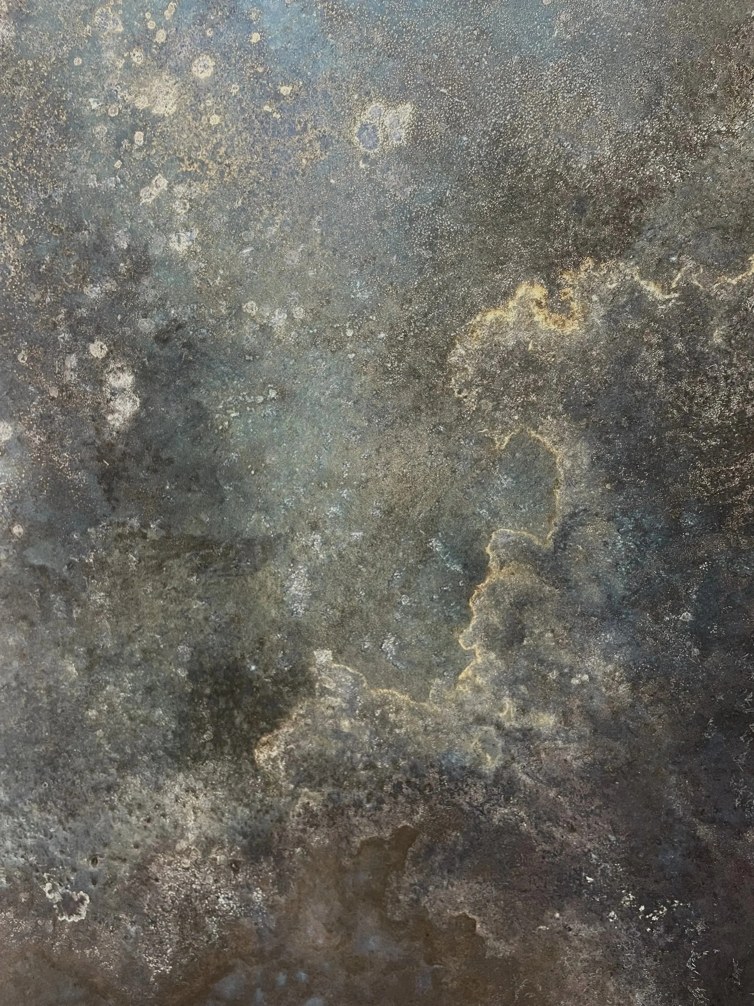 Solaria 28 (detail)