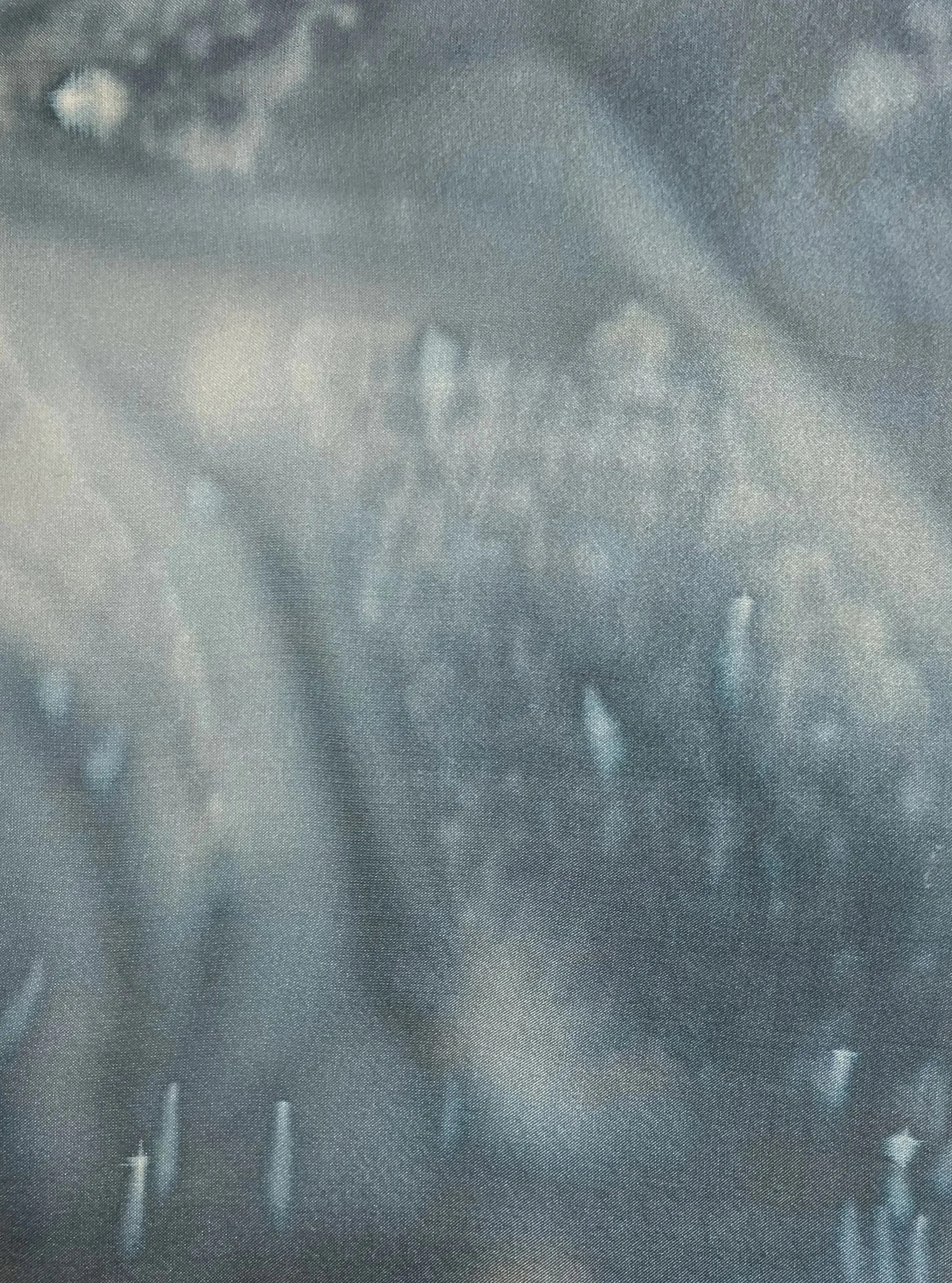 Solaria (Fleinvaer) 3 (detail)