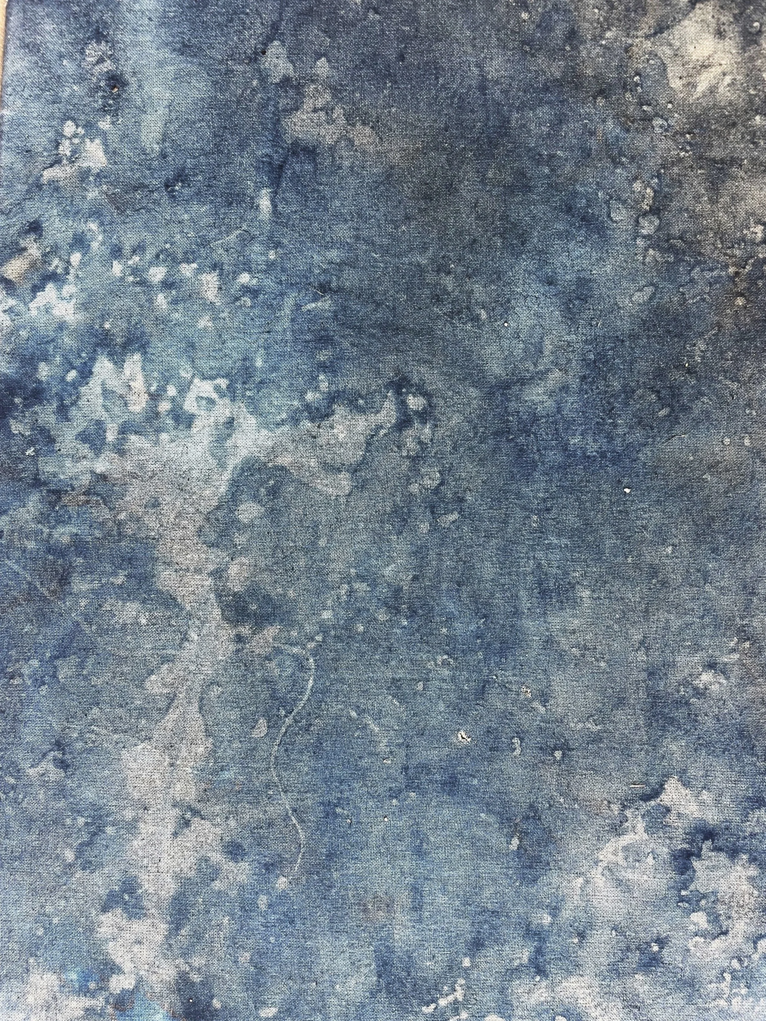 Solaria (Fleinvaer) 6 (detail)