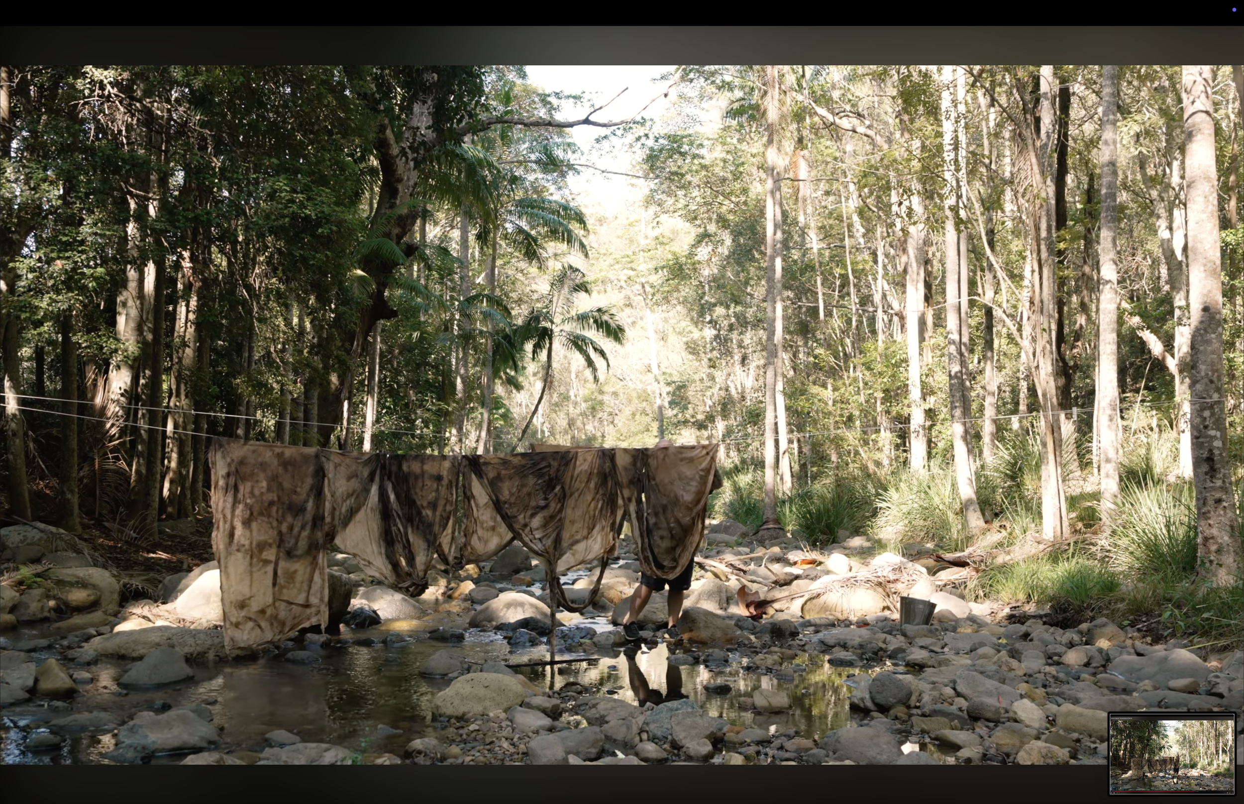 screenshot of film-work: Norton Fredericks, 2024