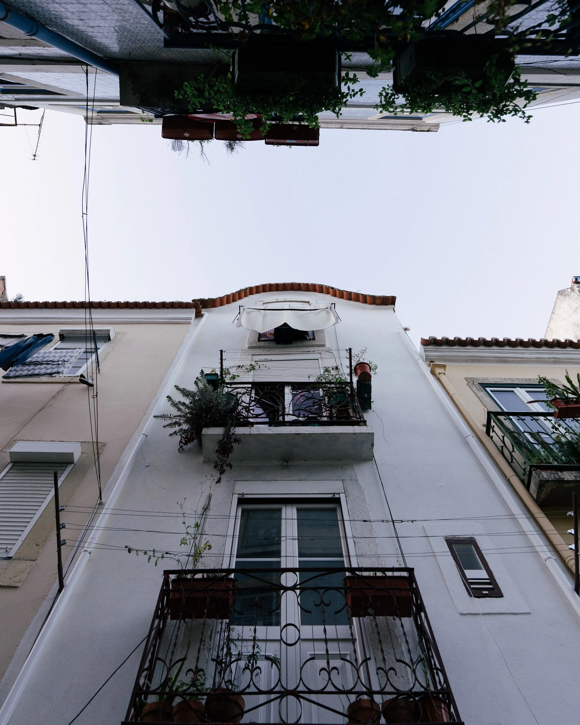 madragoa, lisboa, portugal, 2025