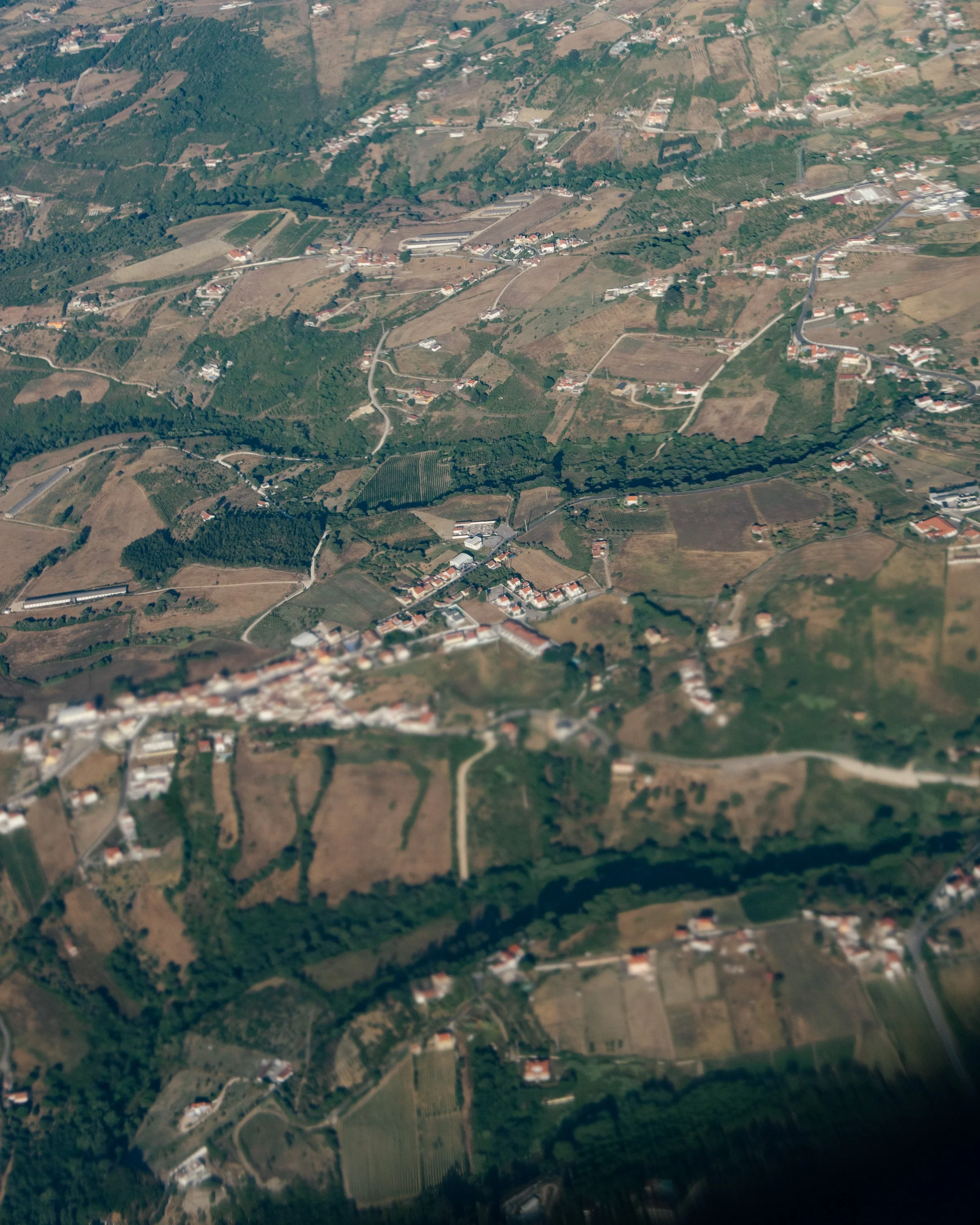 DSC01226.jpg