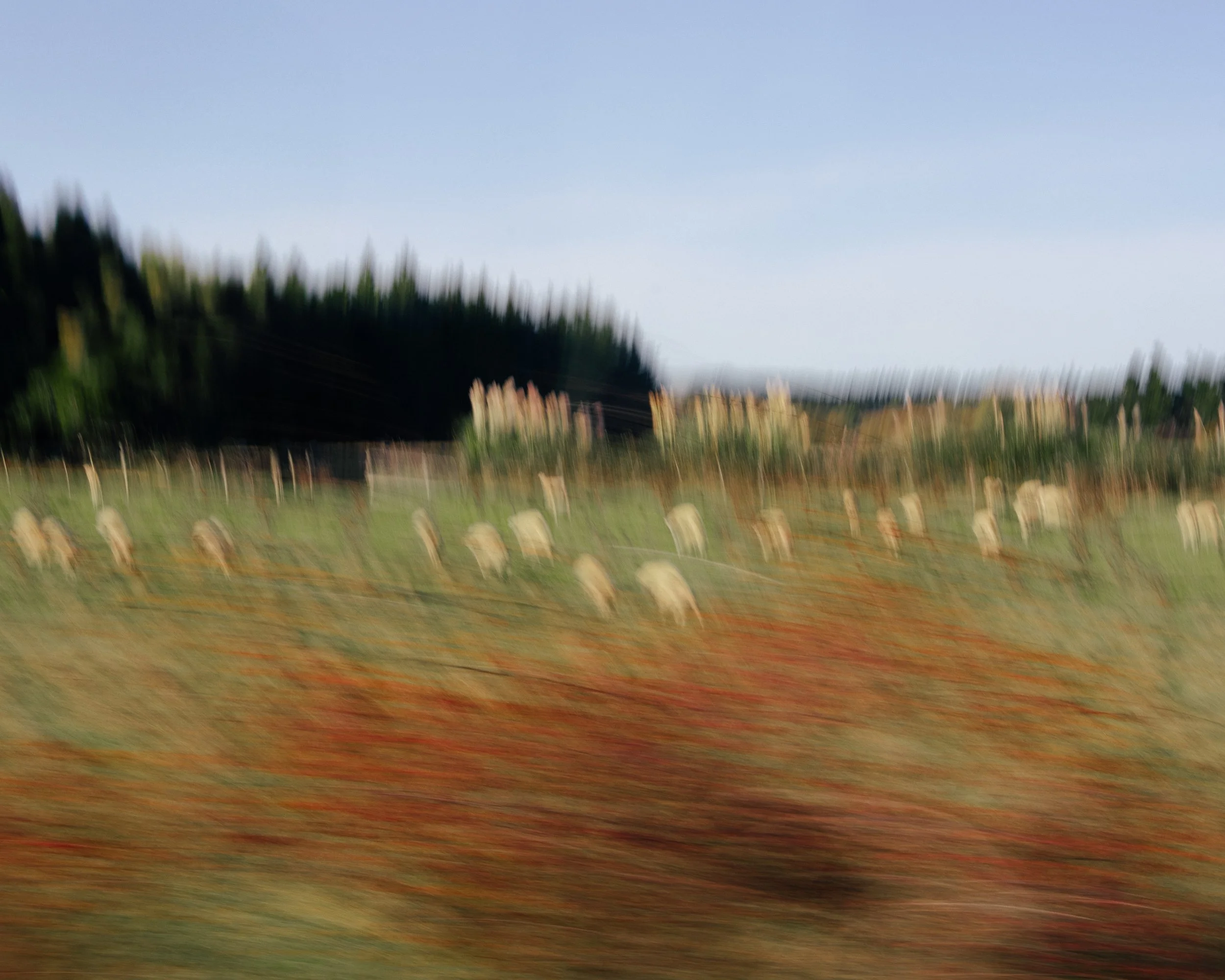 &emsp;&emsp;&emsp;visual diary