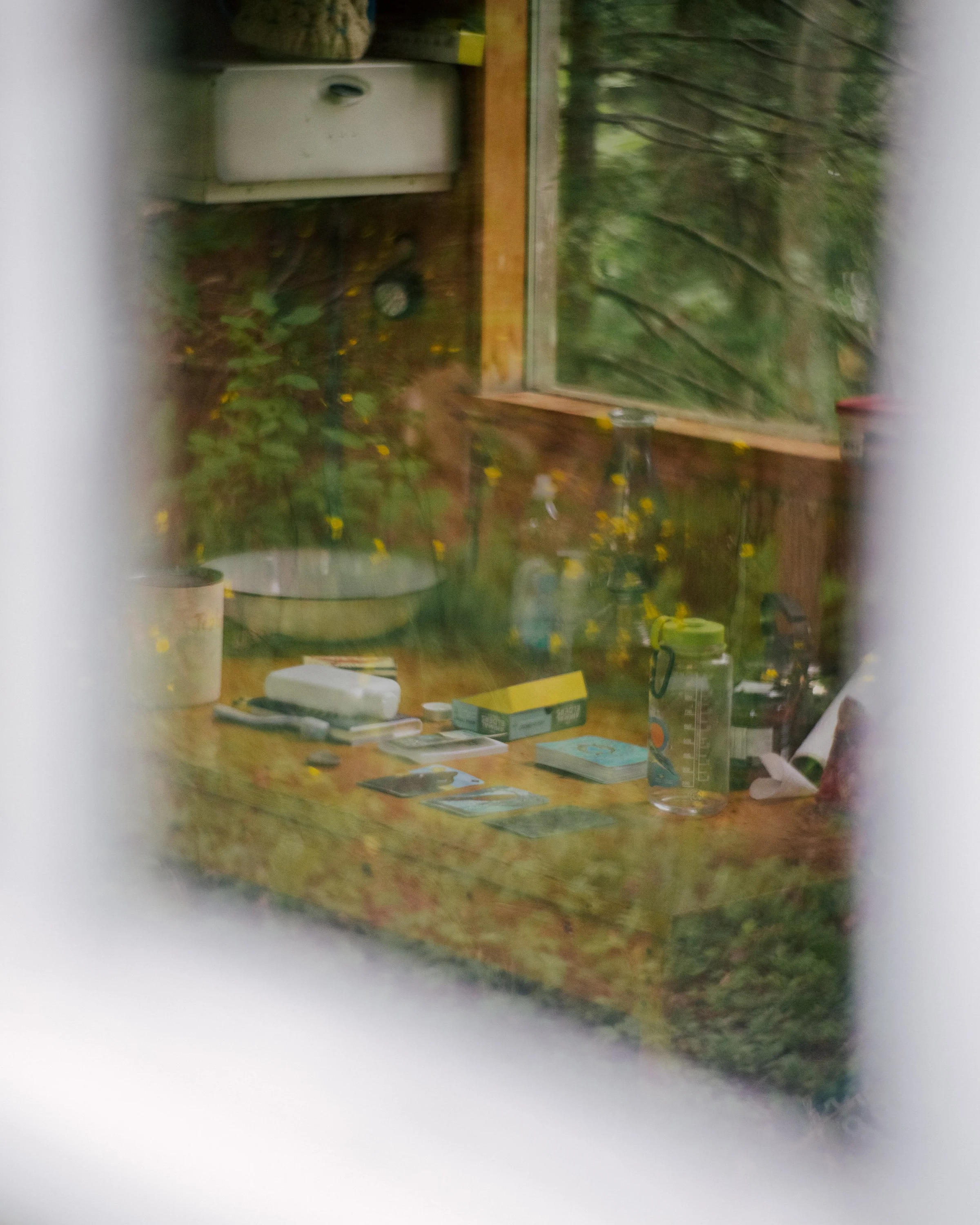 DSC01517.jpg