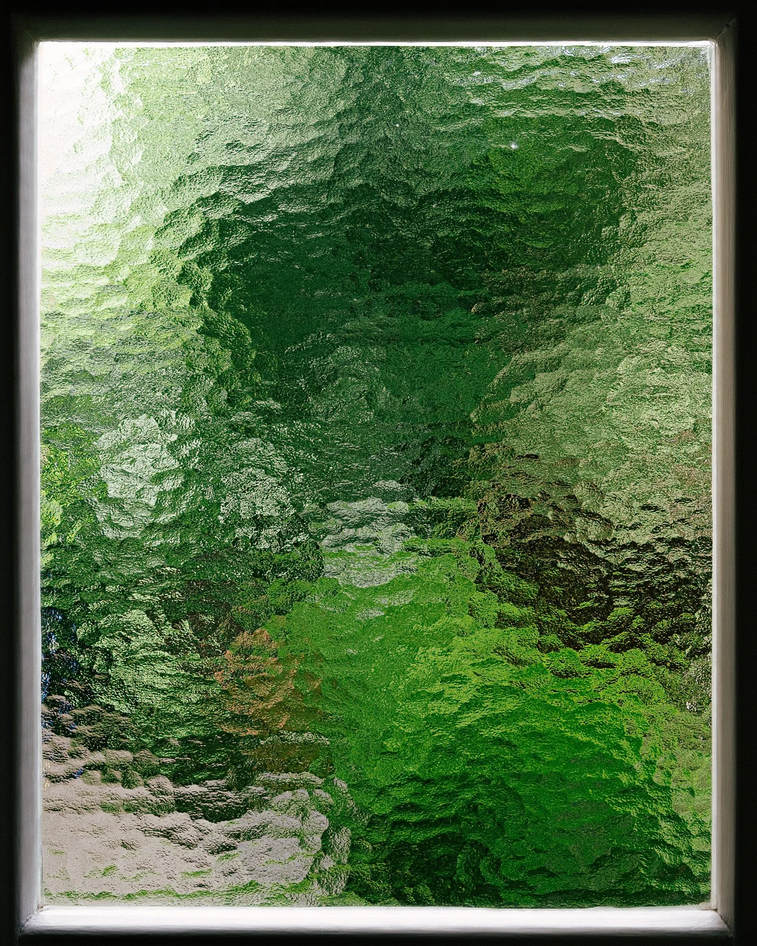 DSC08827.jpg