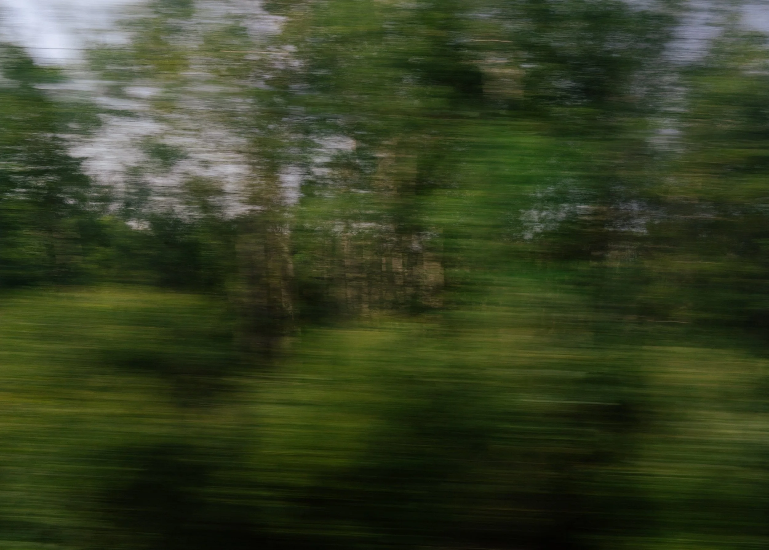 DSC03666.jpg