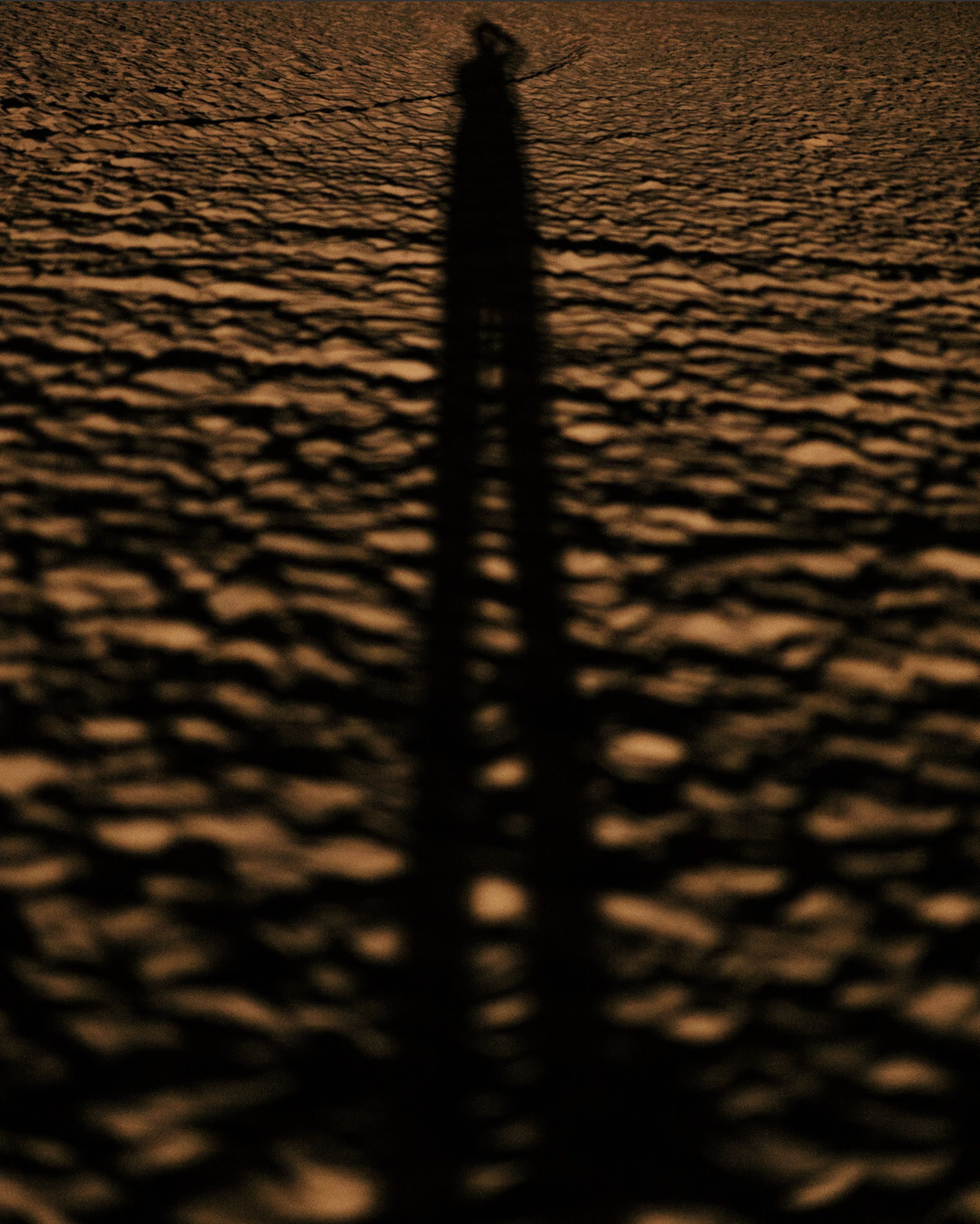 Screenshot 2026-02-09 at 11.54.51.png
