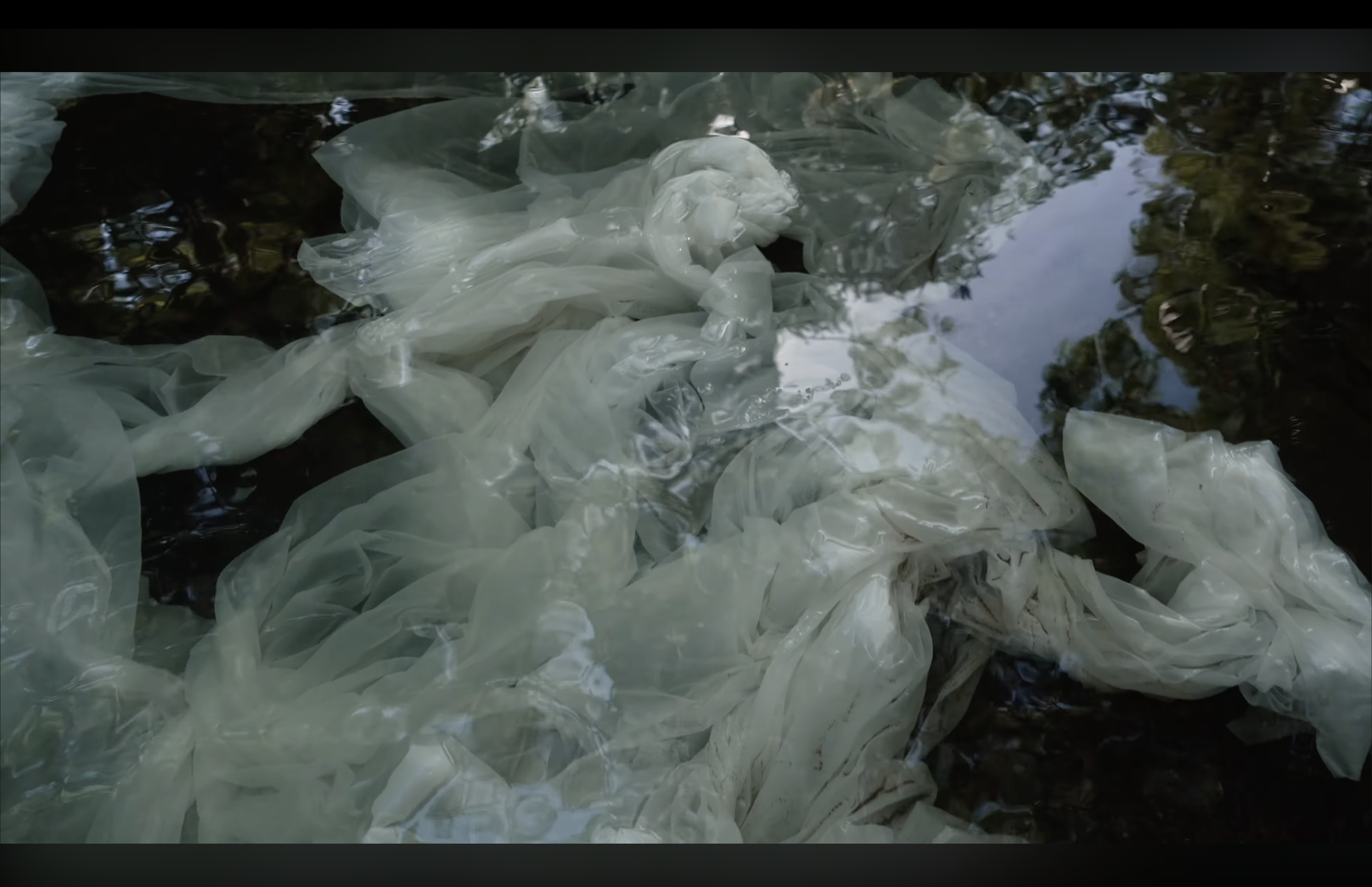 screenshot of film-work: Norton Fredericks, 2024