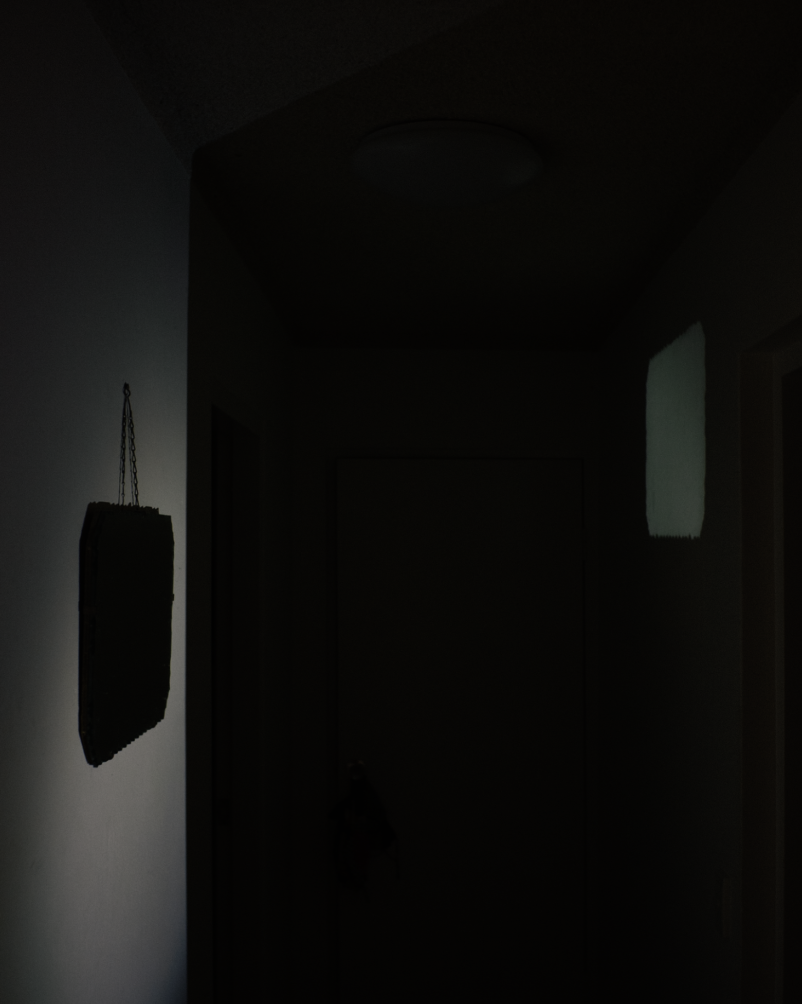 Screenshot 2026-02-09 at 15.03.33.png