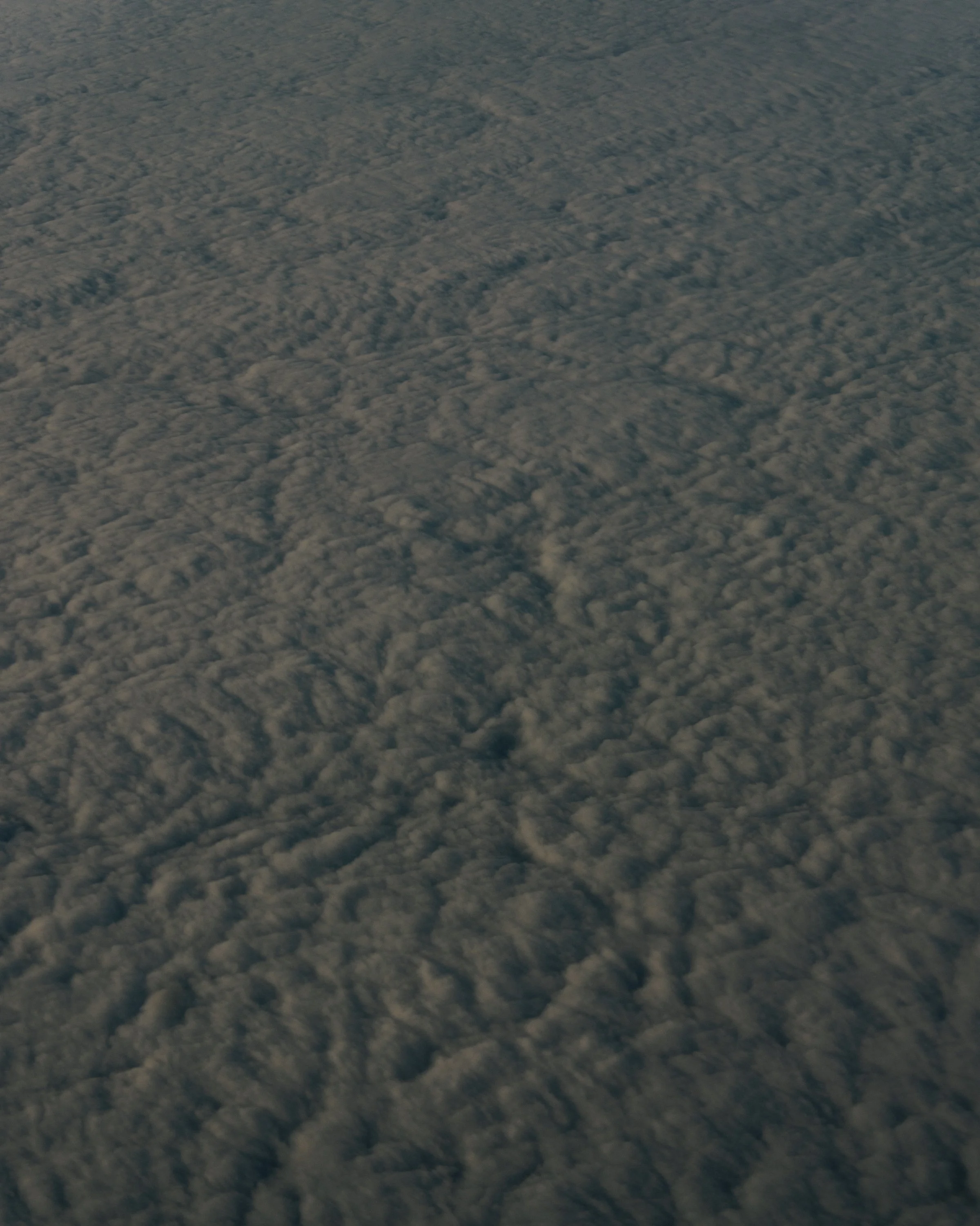 DSC01285.jpg