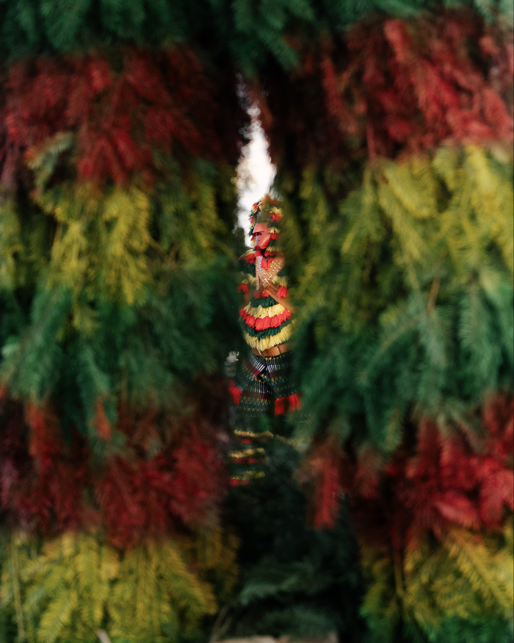 A blurred image of a decorated Christmas tree with colorful ornaments. In the center, there is a Santa Claus ornament amidst the green, red, yellow, and blue branches.