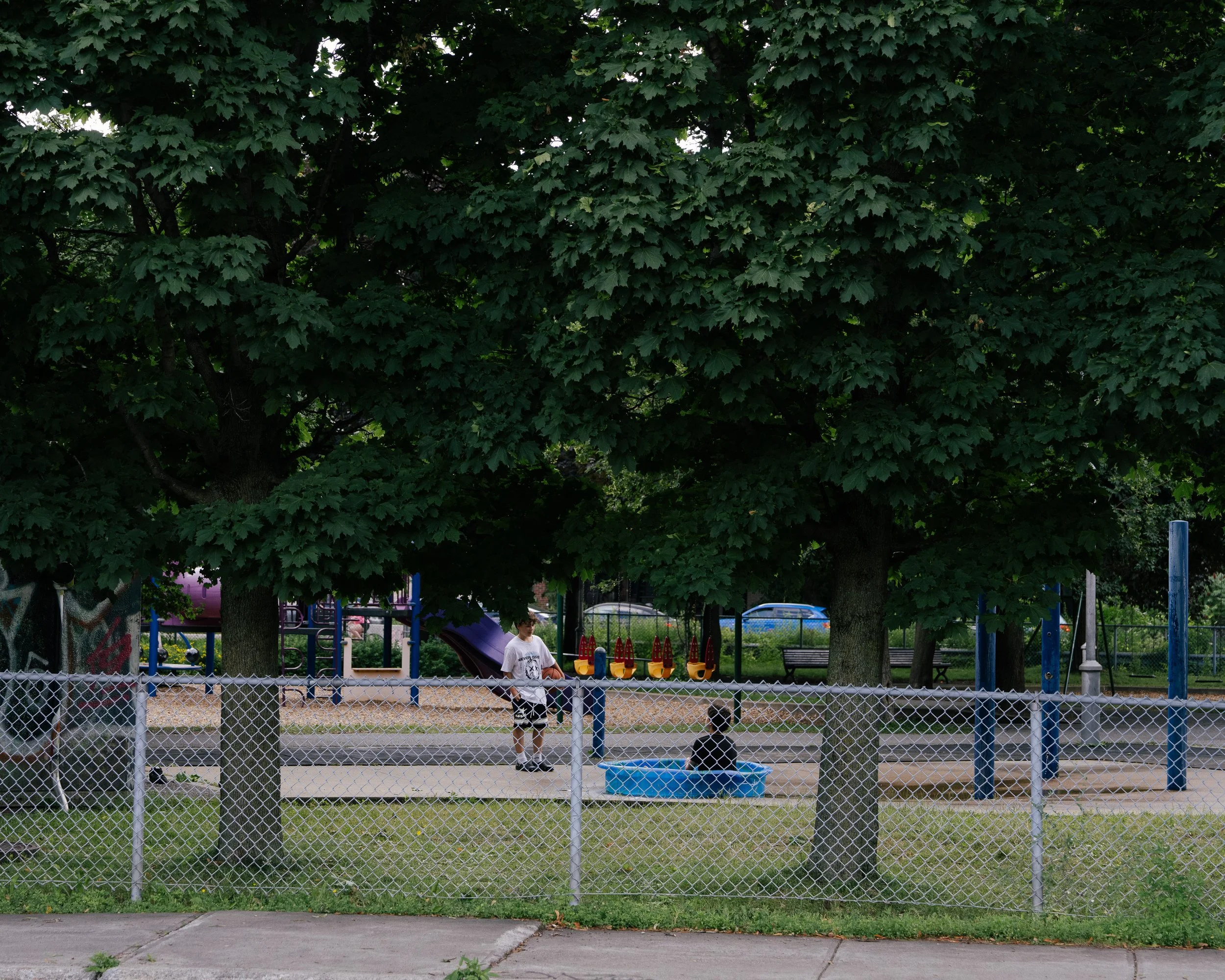 DSC02492.jpg