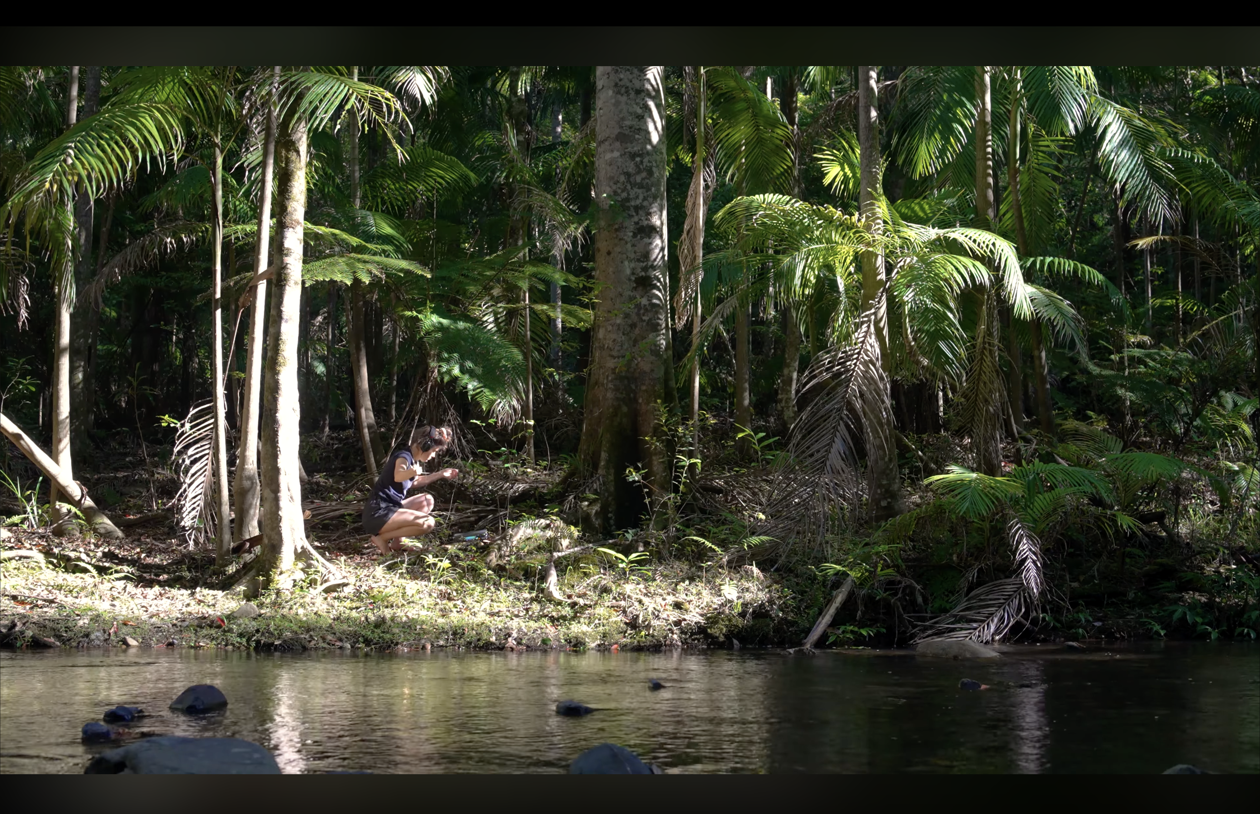 screenshot of film-work: conversations with the forest, 2022