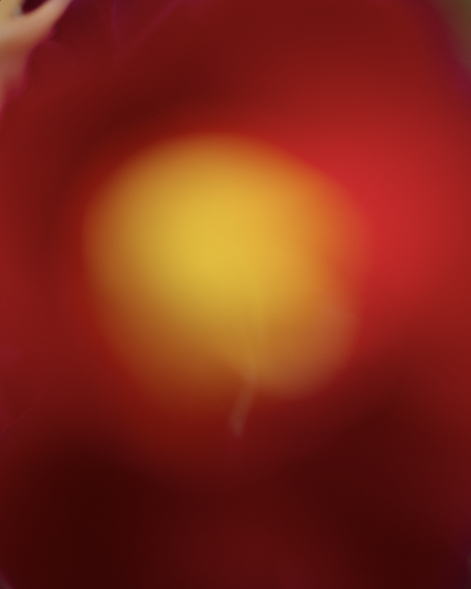 Screenshot 2026-03-02 at 11.17.58.png