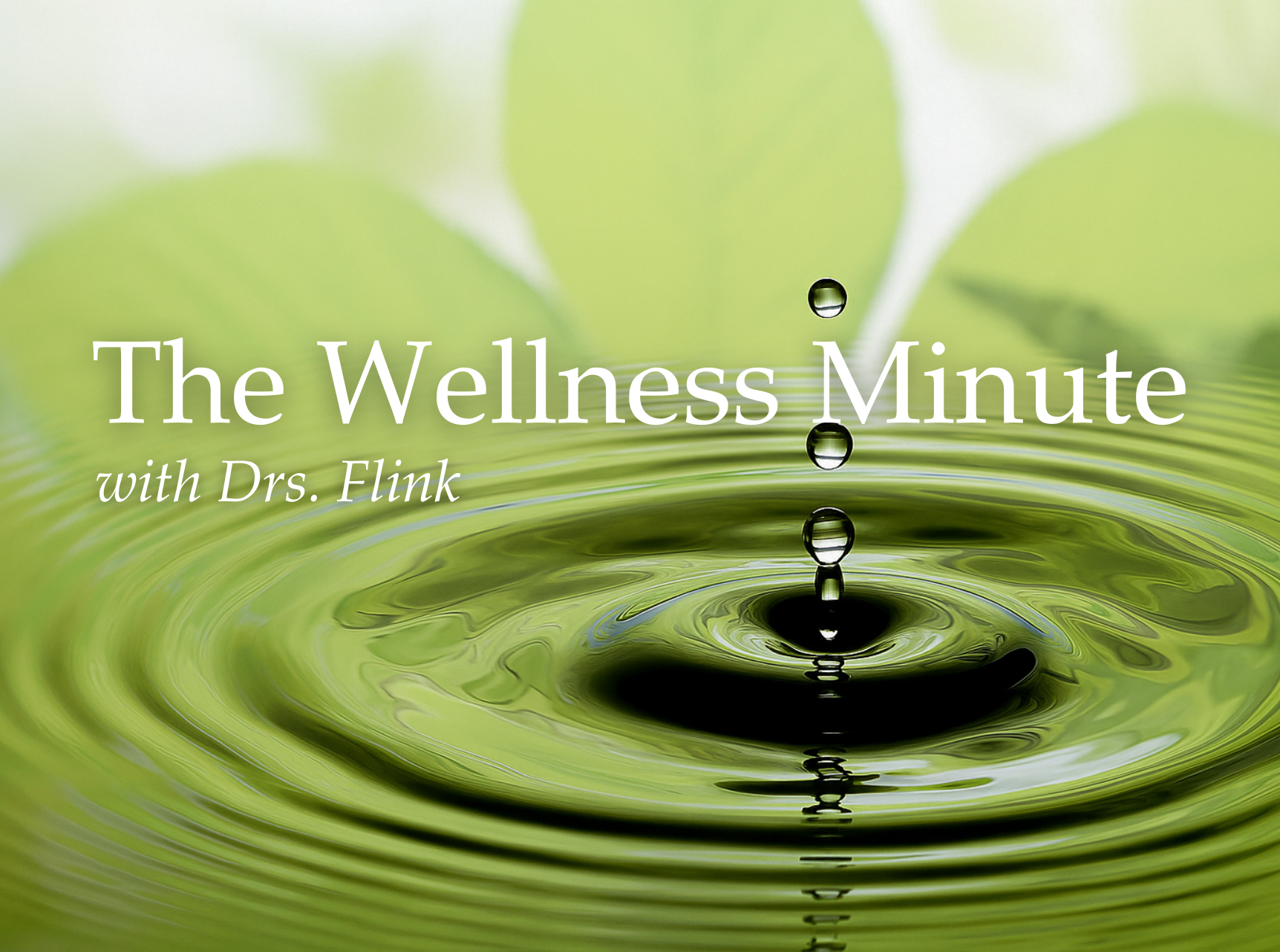 Drs Flink Wholistic Wellness Center