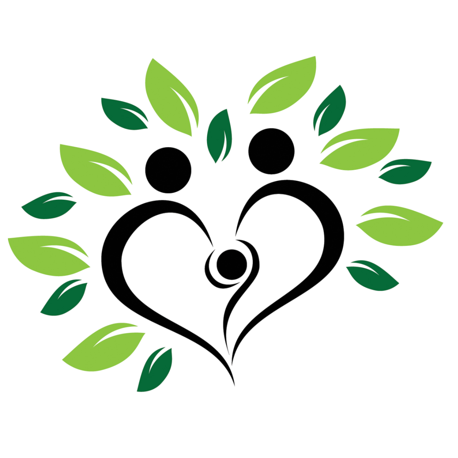 Drs Flink Wholistic Wellness Center