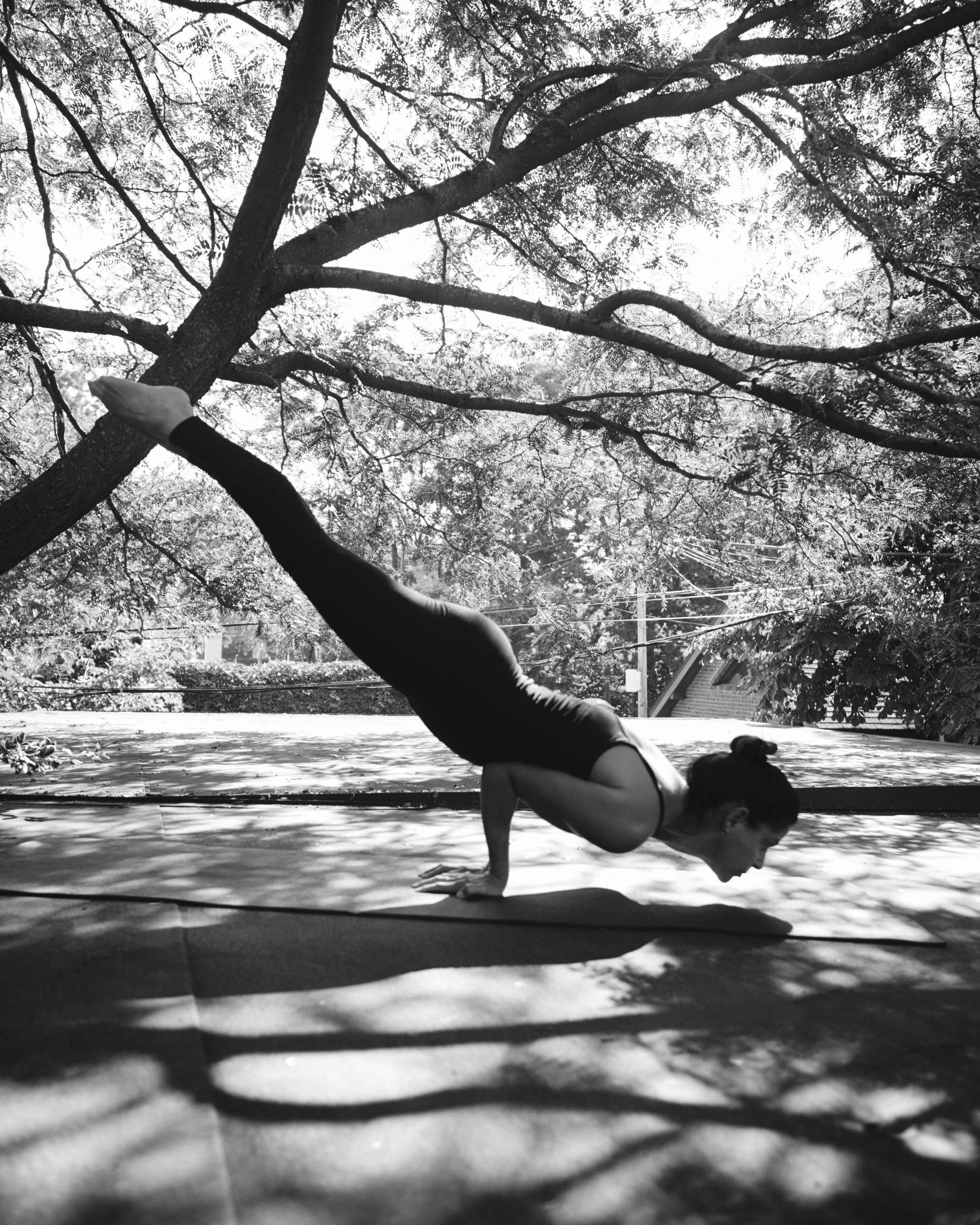 Early Bird Monthly - 12 months - minus deposit