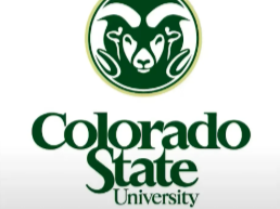 Colorado State Supply Chain Case Competition