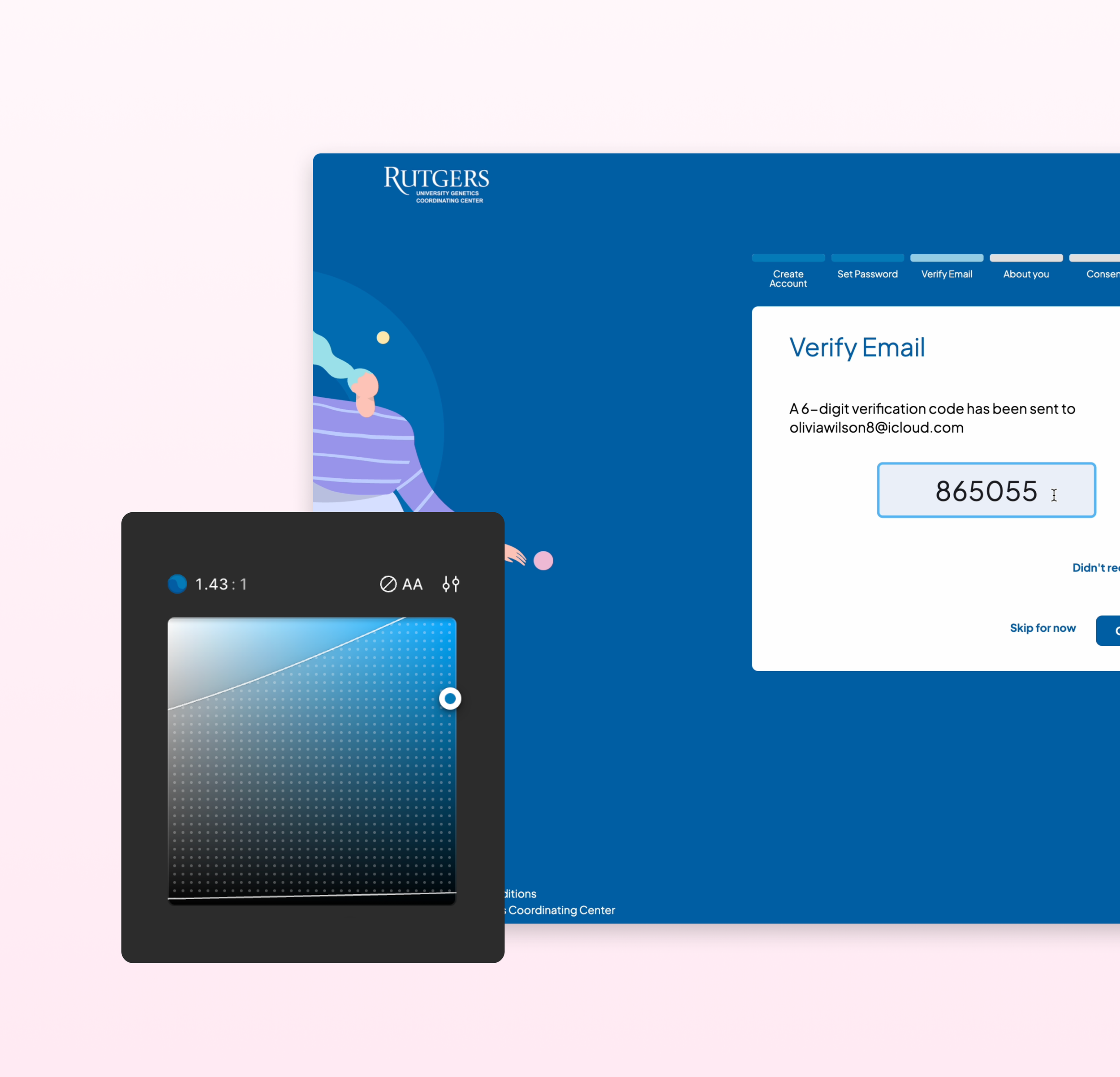 Color Contrast Checker (WCAG Standards) Survey Screen 