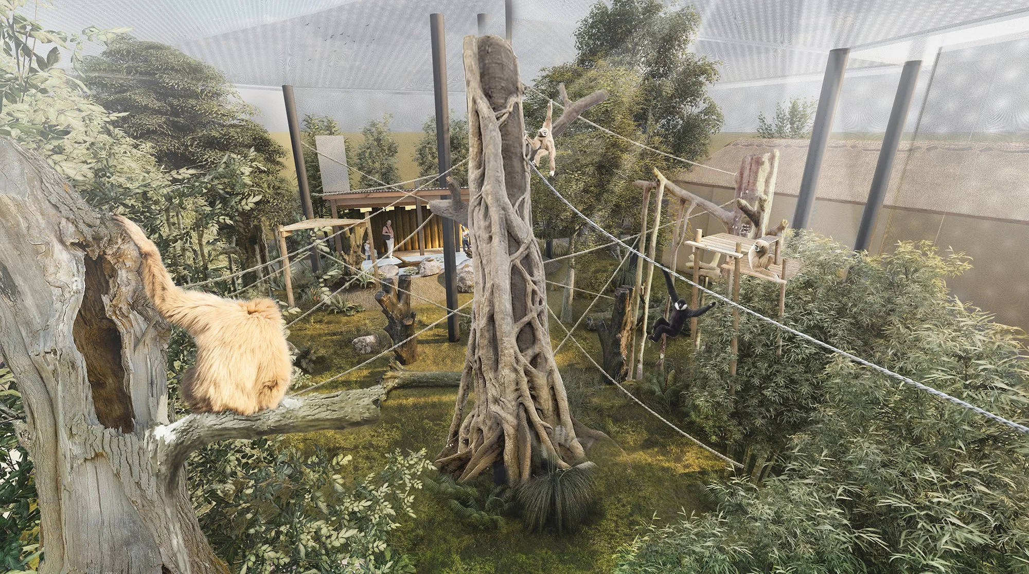 Gibbons 02.jpg