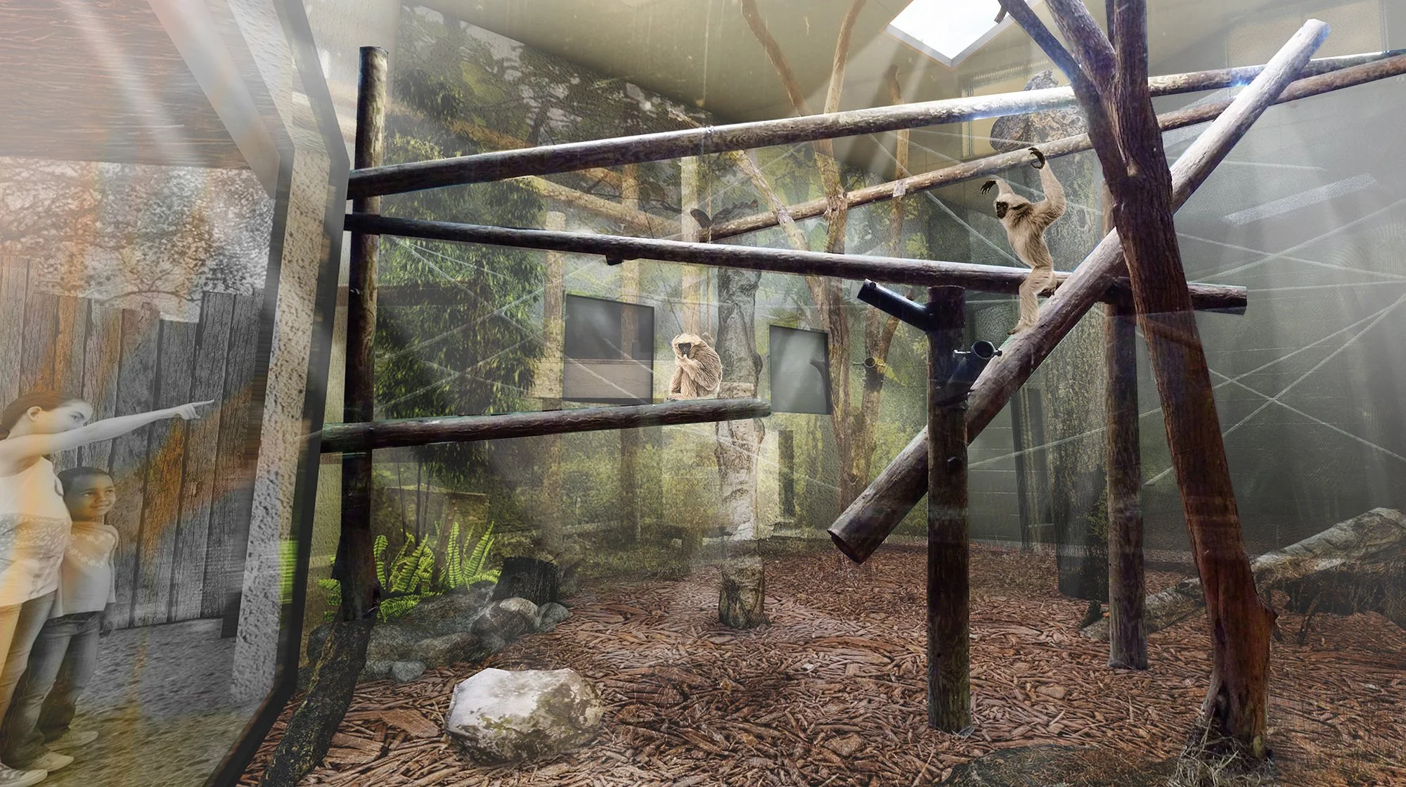 Gibbons 10.jpg