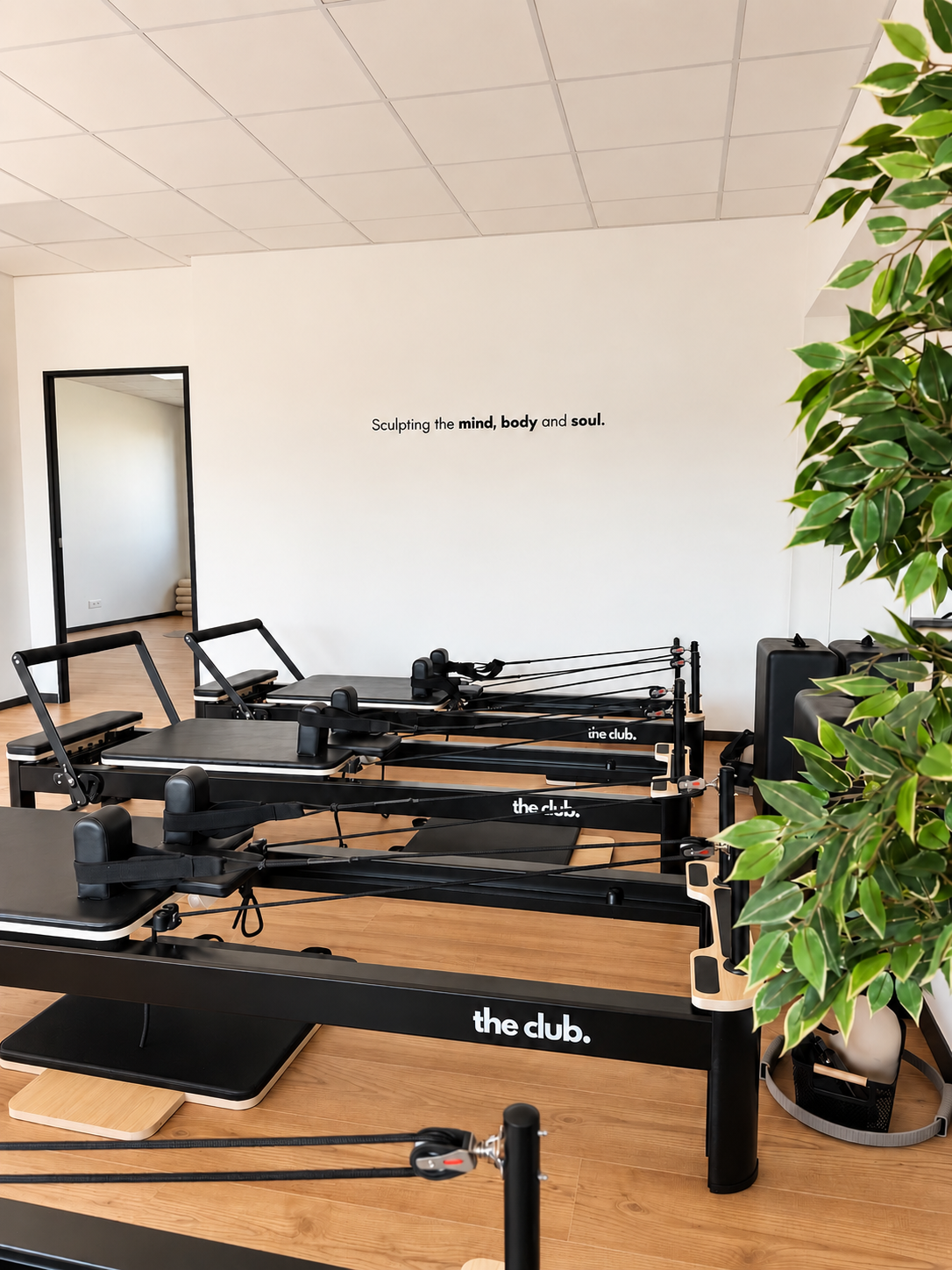 Salle de physiothérapie avec appareils de rééducation et de Pilates, miroirs, fenêtres, mur blanc.