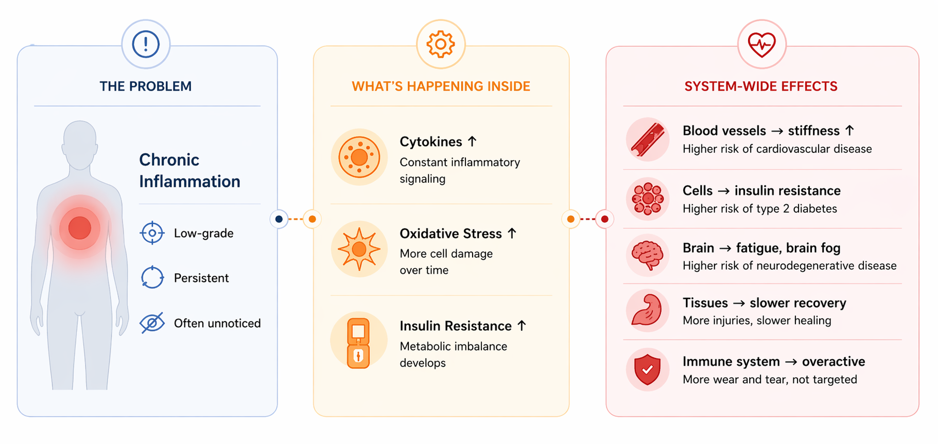 How Fasting Lowers Inflammation: Mechanisms, Data, and Real Results