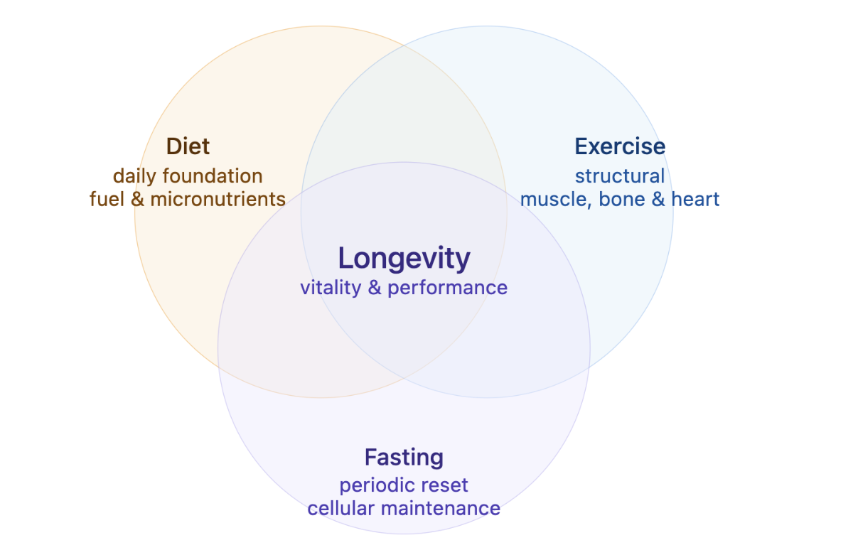 Fasting vs Exercise vs Diet: The Unique Benefits Only Extended Fasting Can Deliver