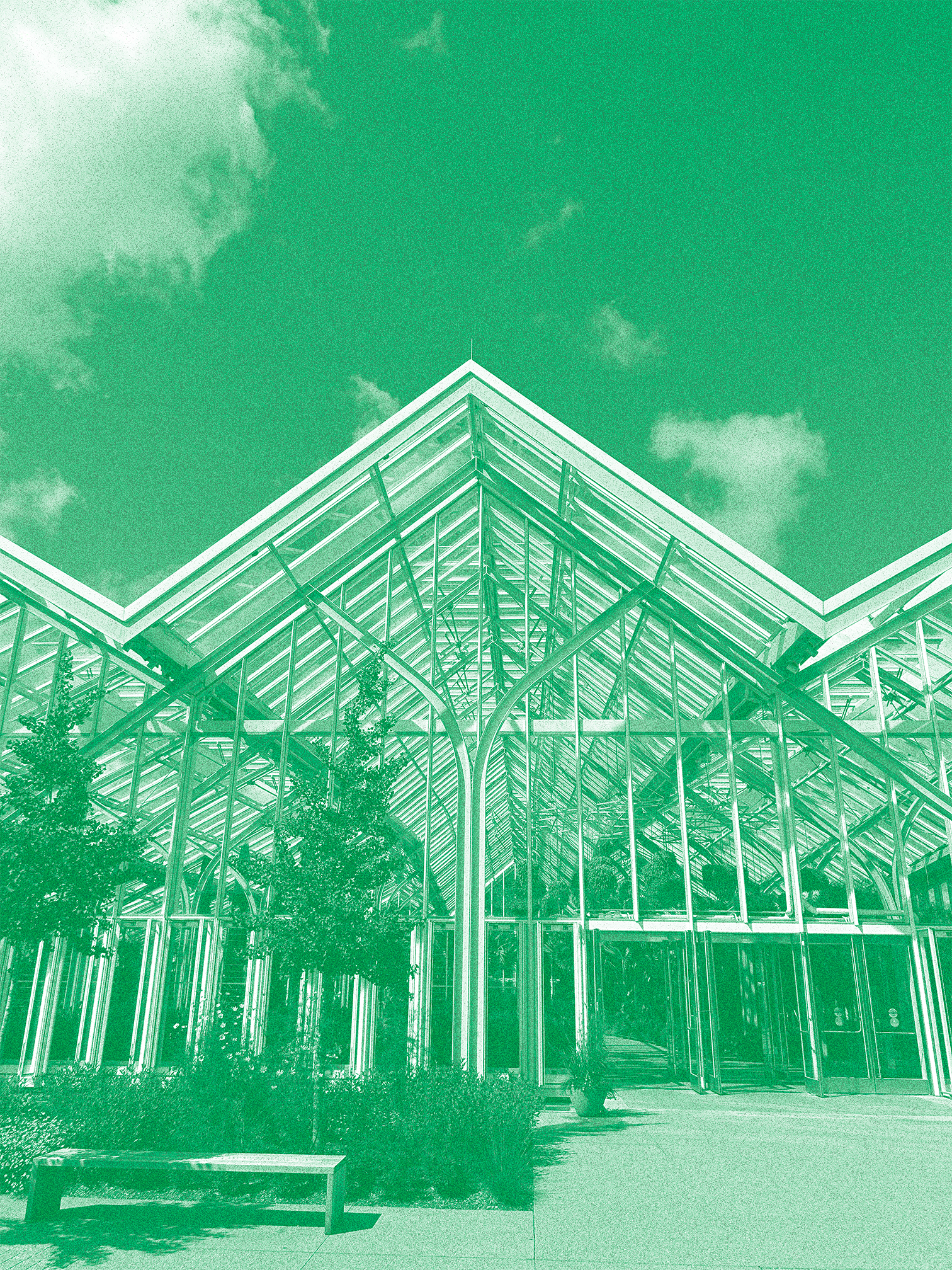 Branding in the Anthropocene Essay