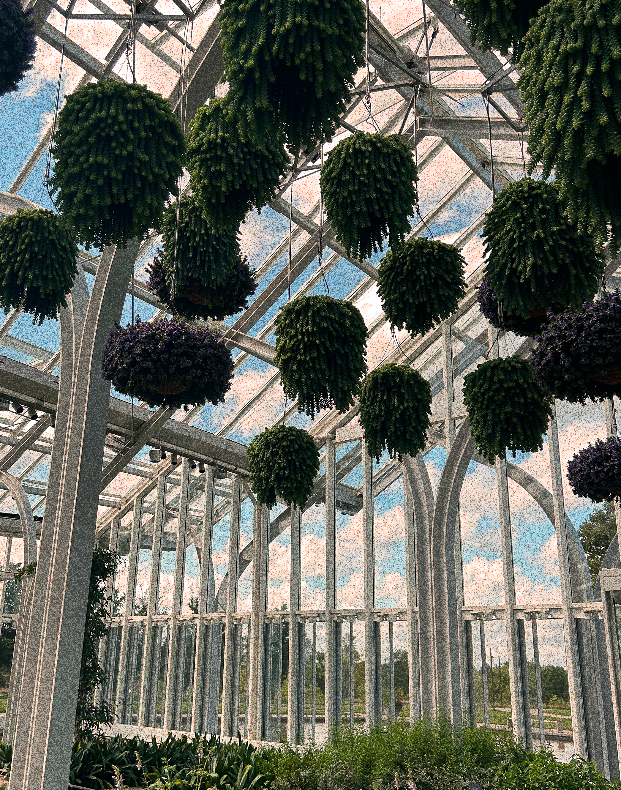 Embracing Folly in Branding and Nature