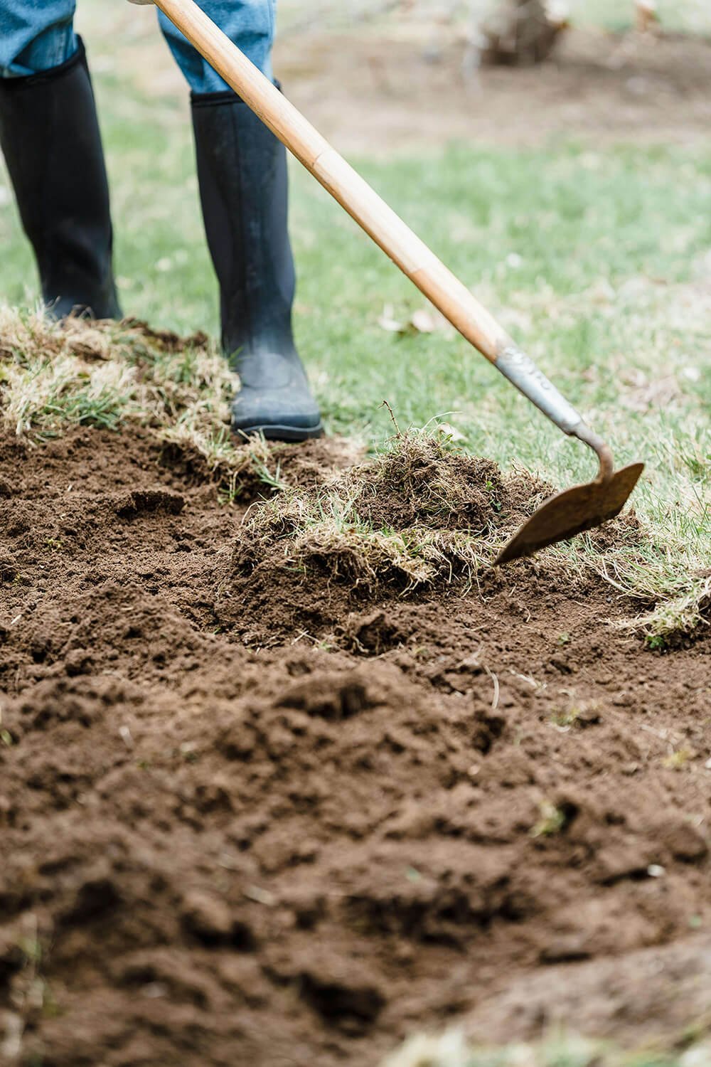 Woman with black garden boots holding a hoe and breaking up soil