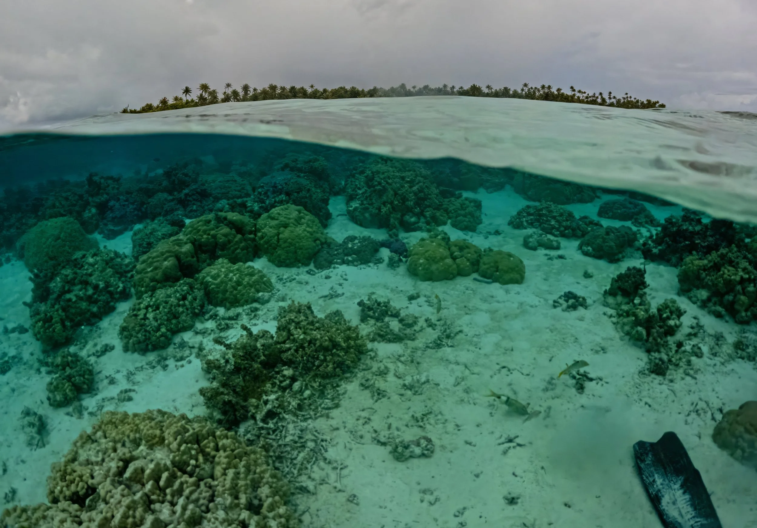 Tahaa 1 (175).jpg
