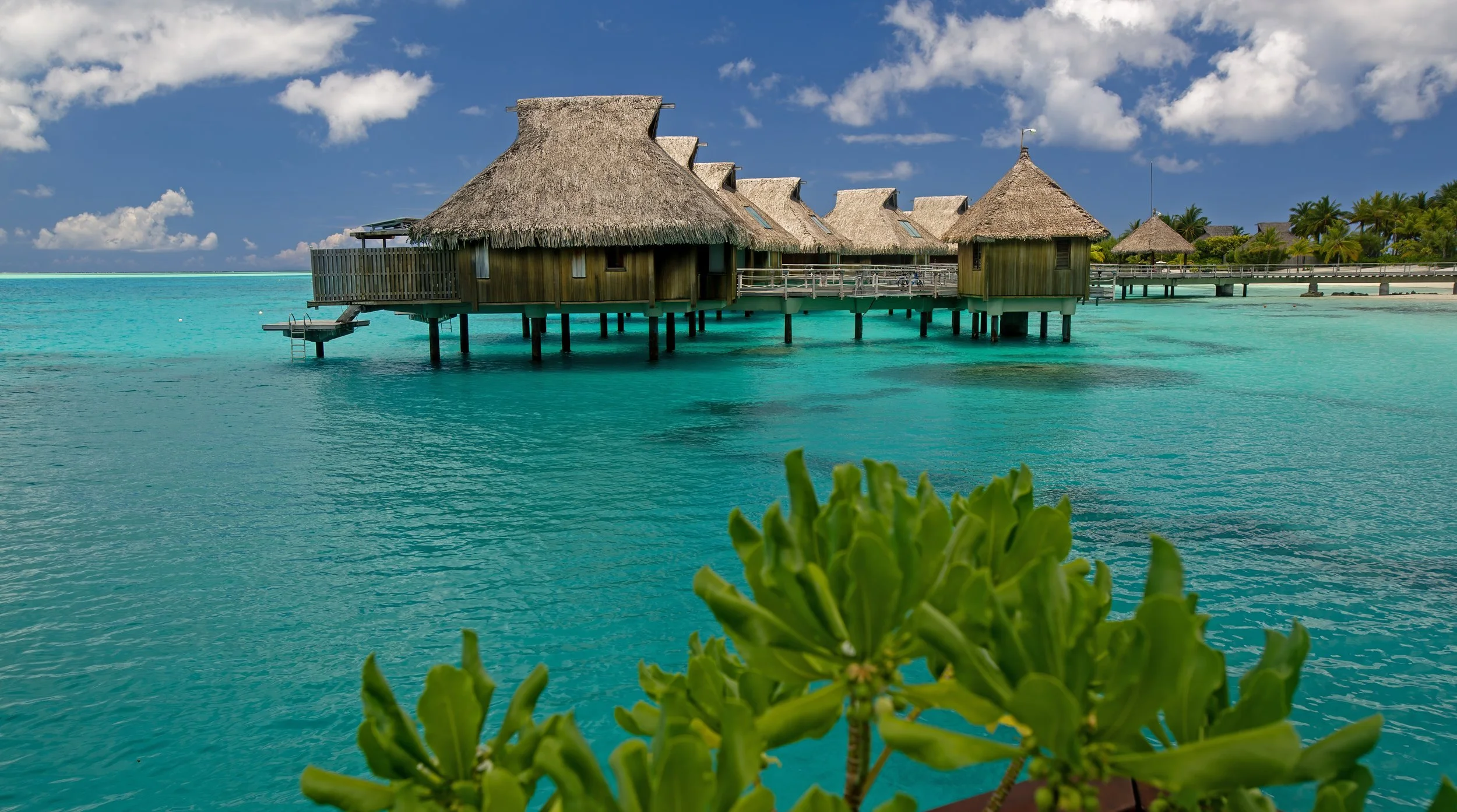 Bora 1 (26).jpg