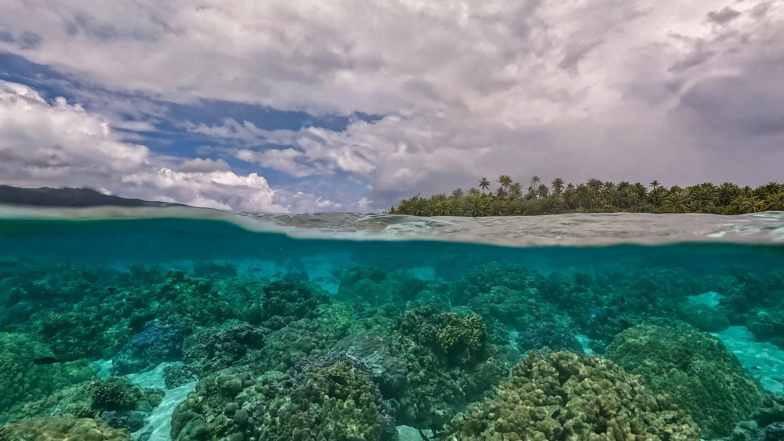 Tahaa 1 (171).jpg