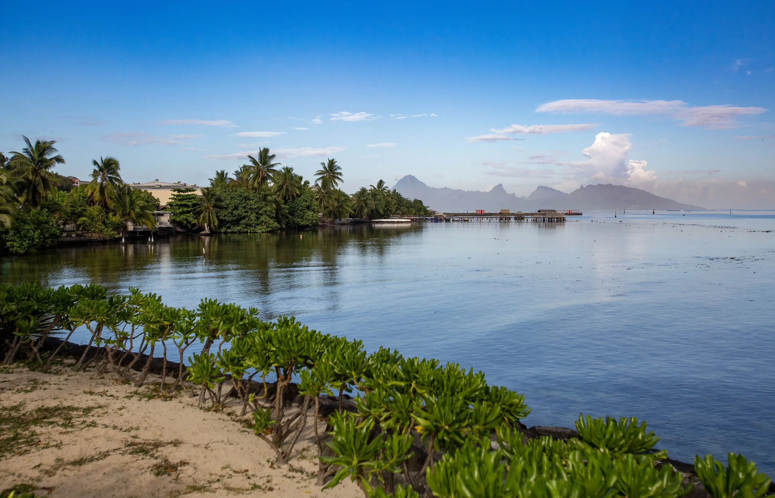 Tahiti 1 (42).jpg