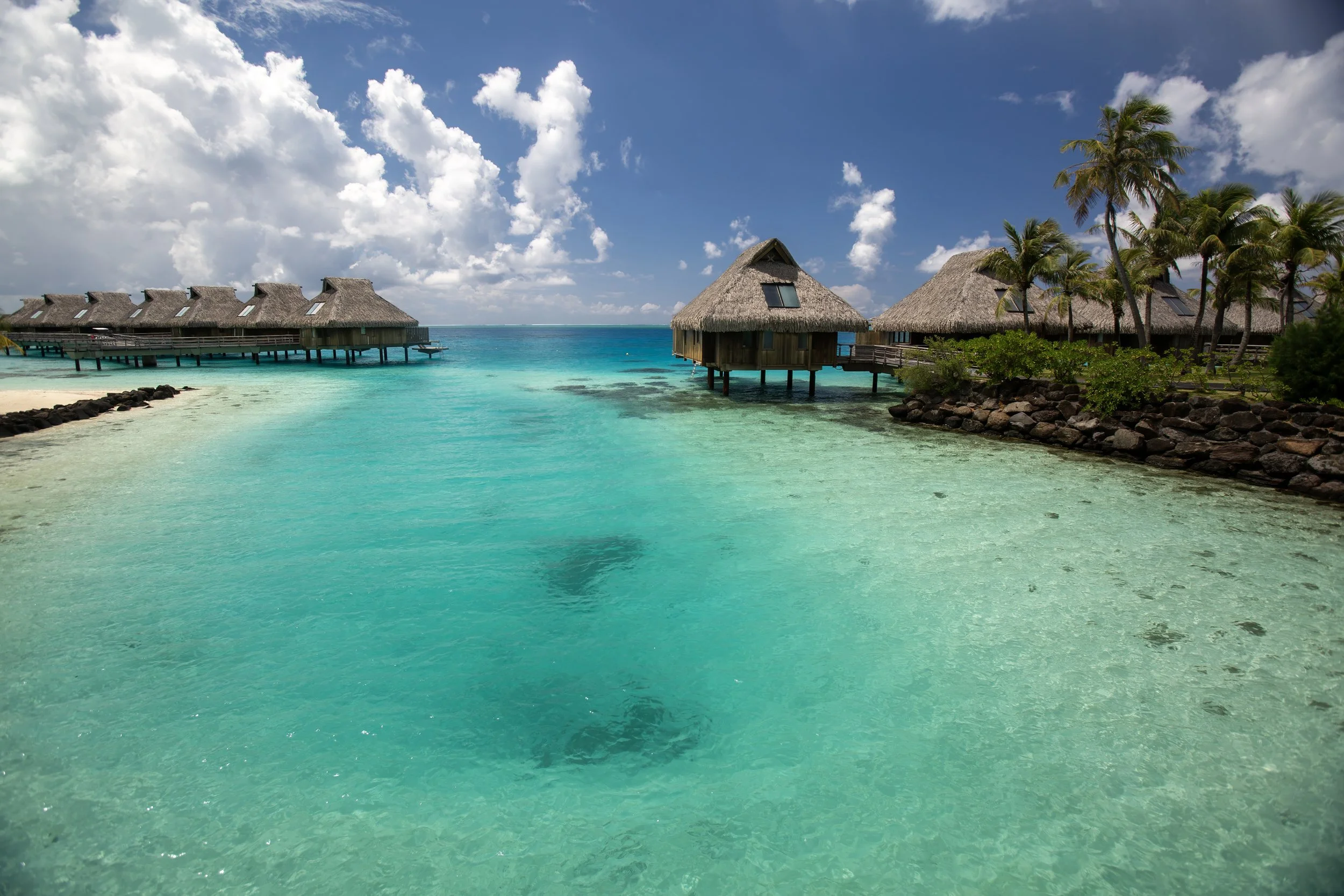 Bora 1 (49).jpg