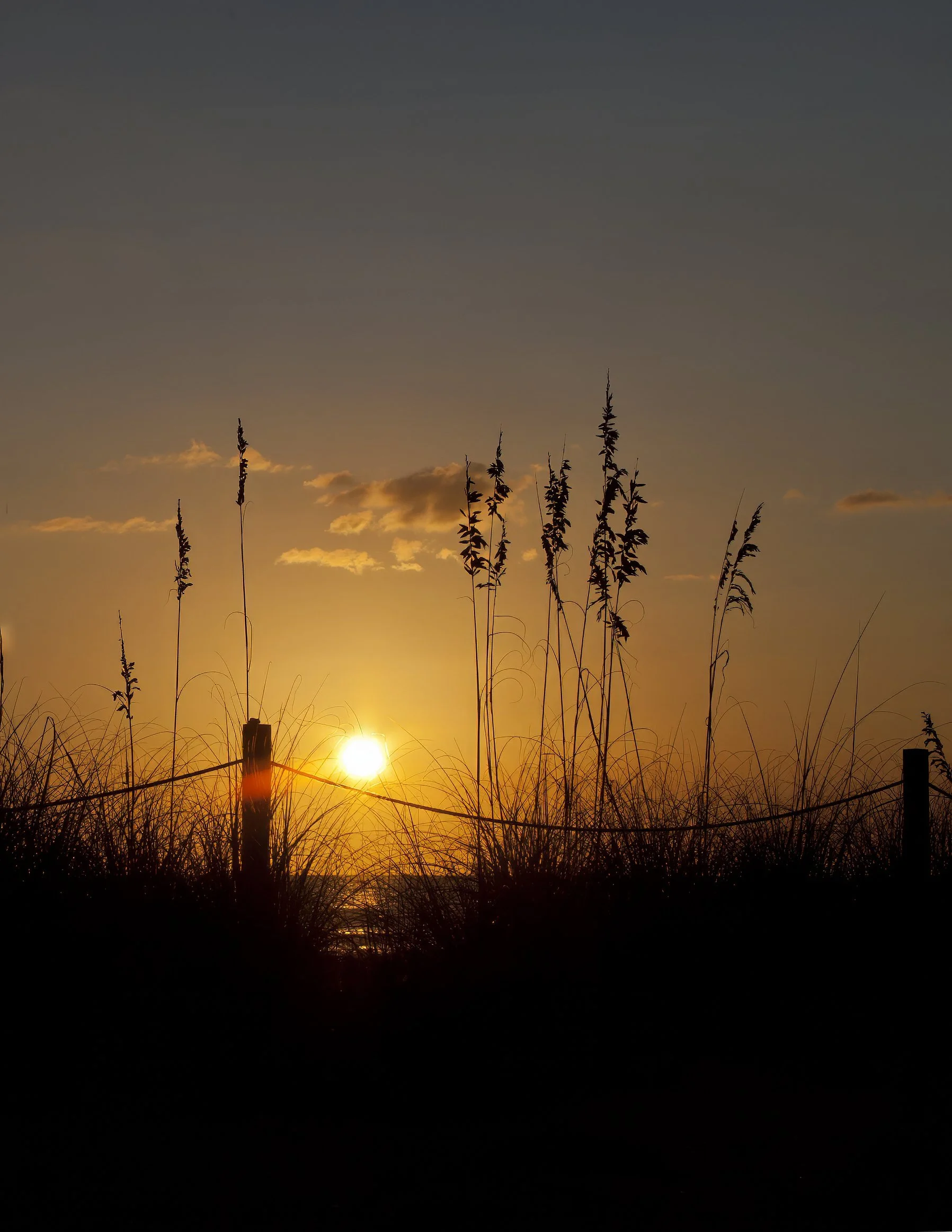 SanCap Beach Sunset 6W2Q0741 copy.jpg