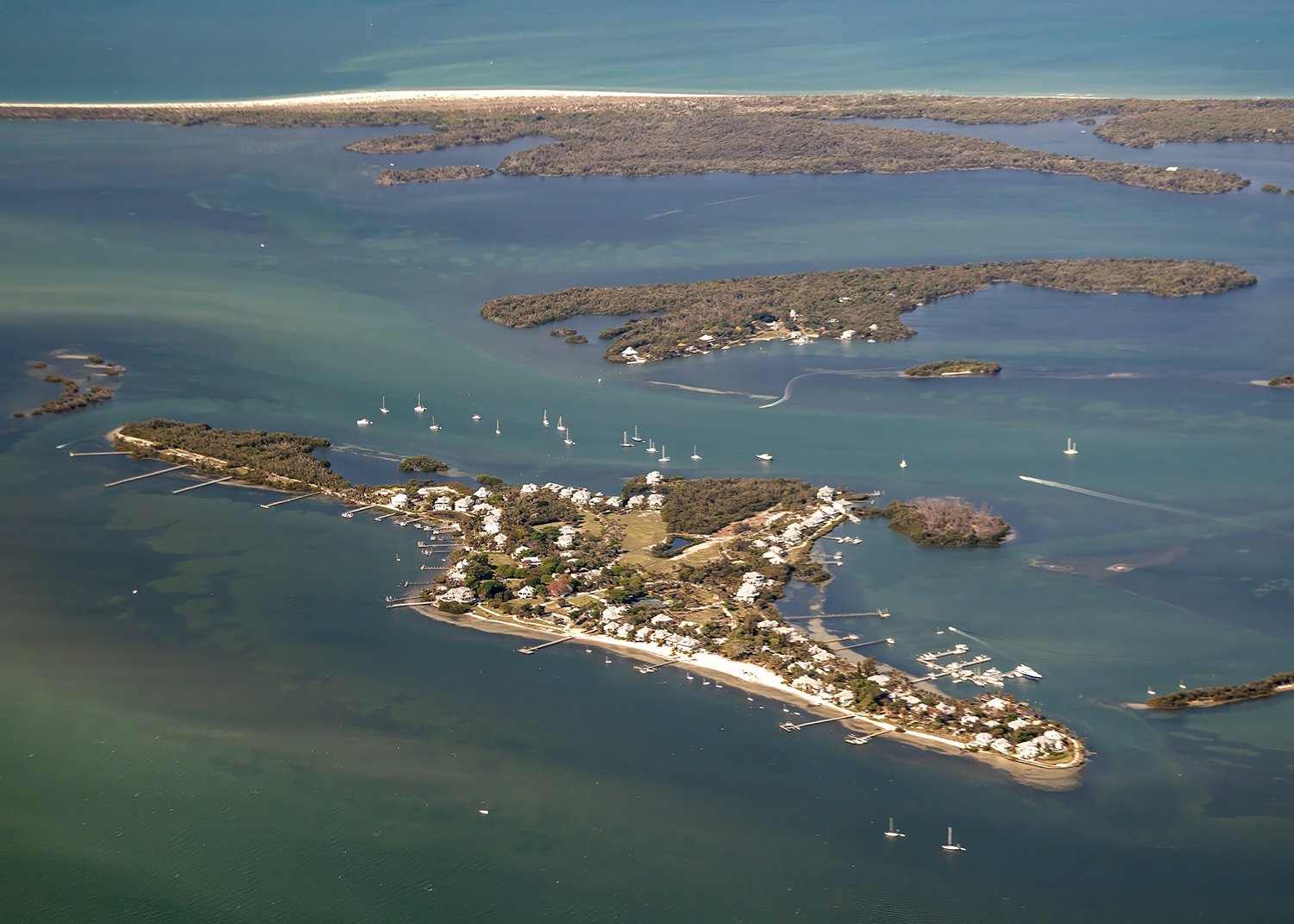 6W2Q7929 Eusepa w Cabbage Key copy.jpg