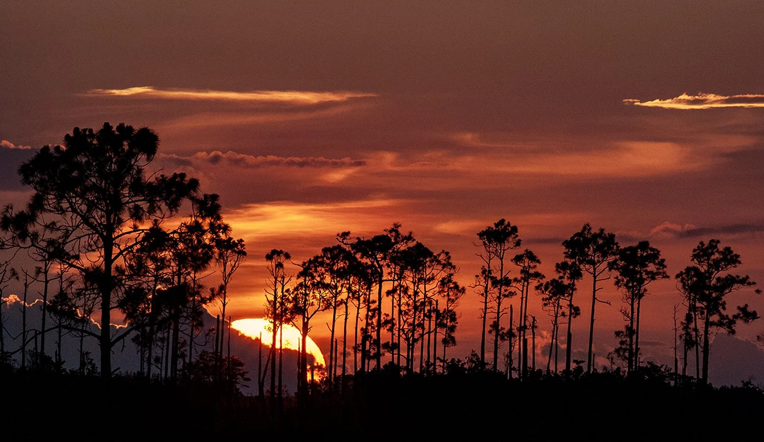 SF_20060602_9_324 copy.jpg