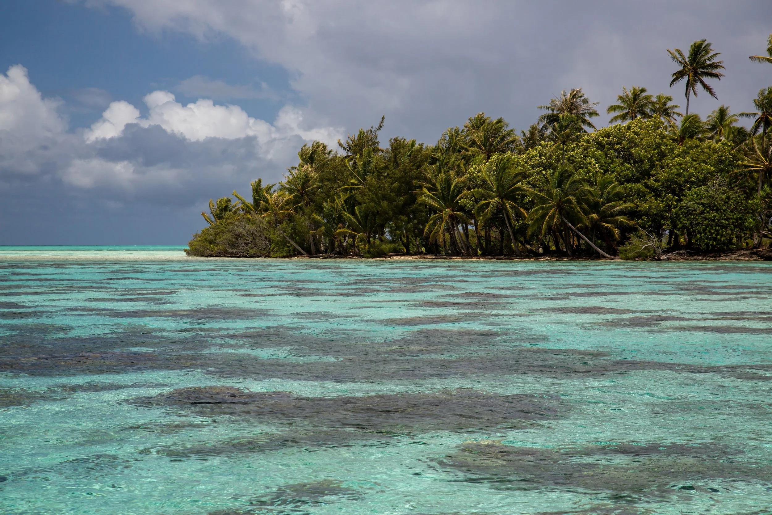 Tahaa 1 (232).jpg