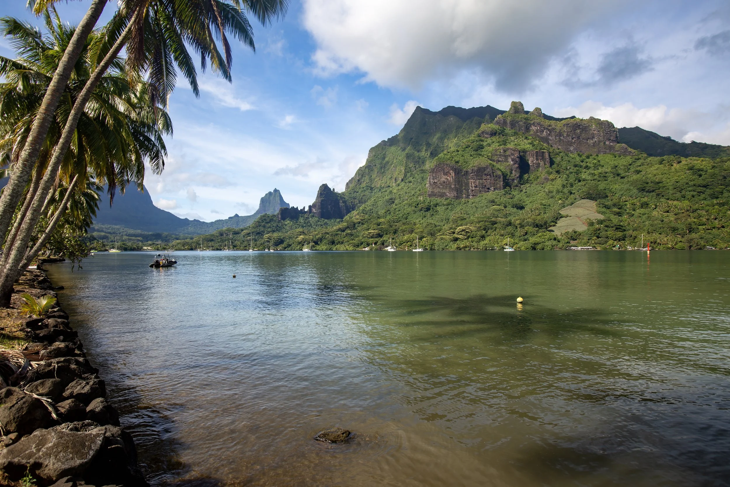 Moorea 1 (84).jpg