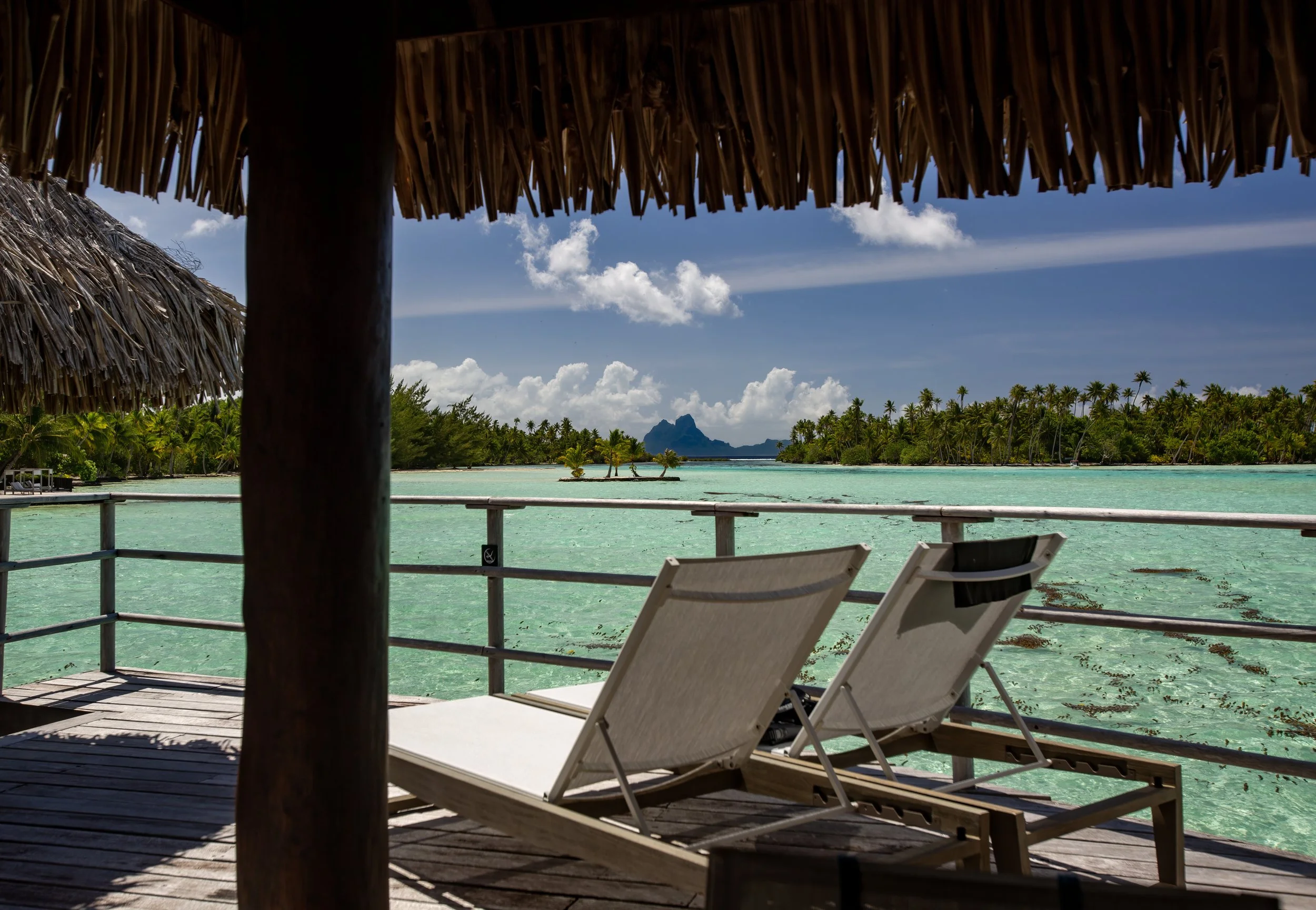 Tahaa 1 (52).jpg