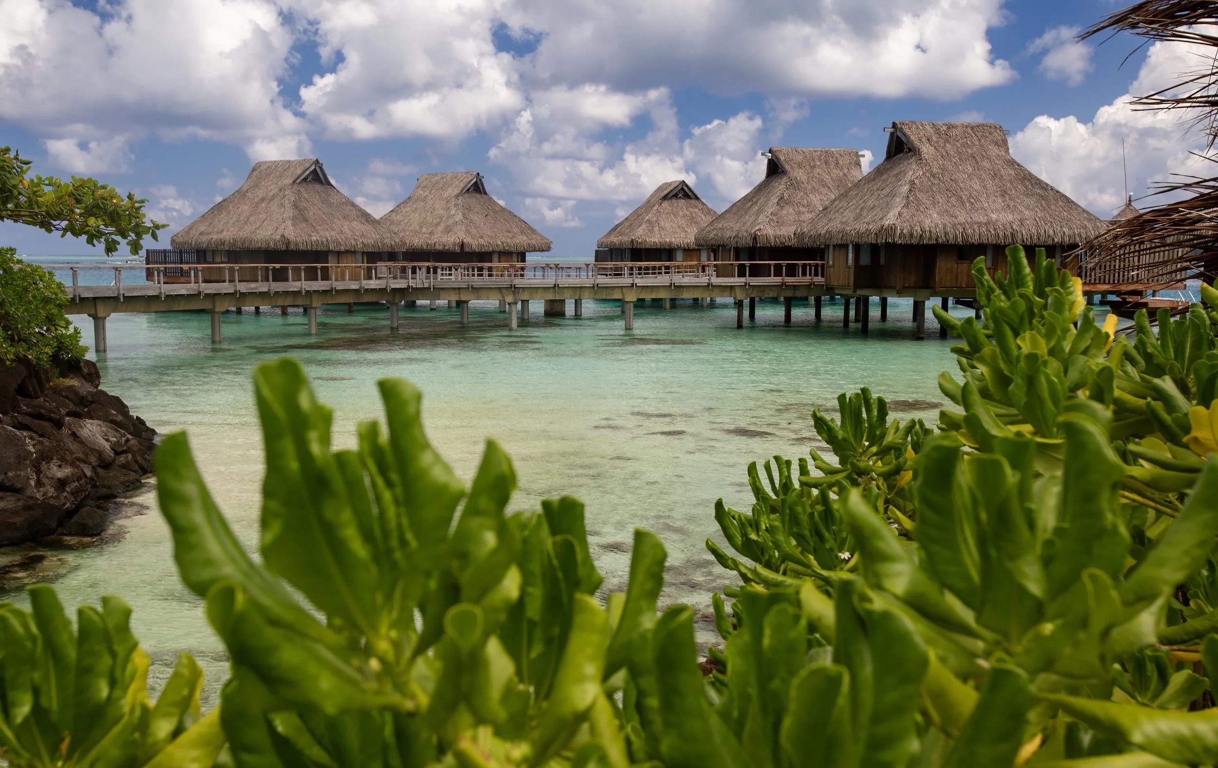 Bora 1 (51).jpg
