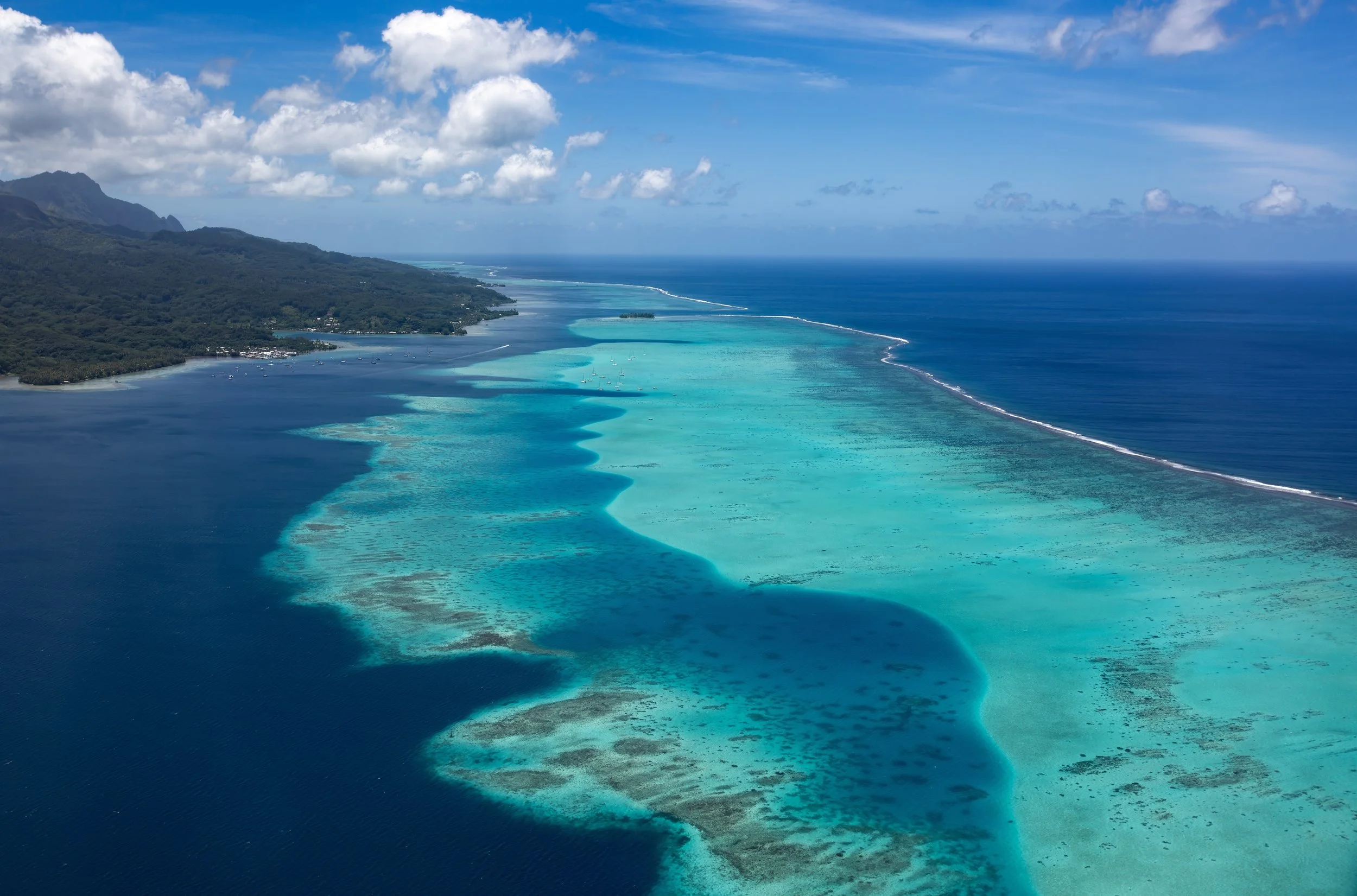 Tahaa 1 (12).jpg