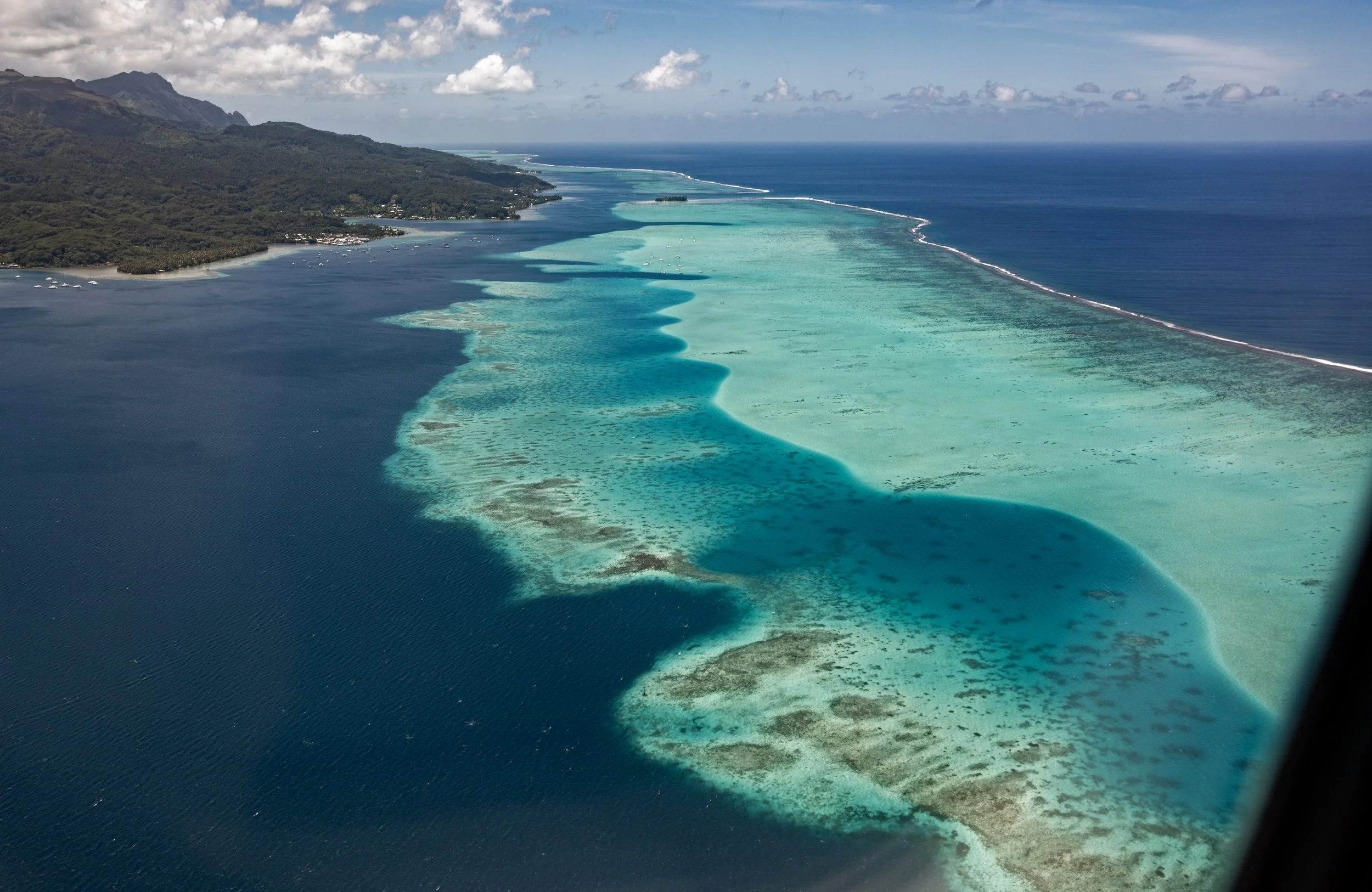 Tahaa 1 (6).jpg