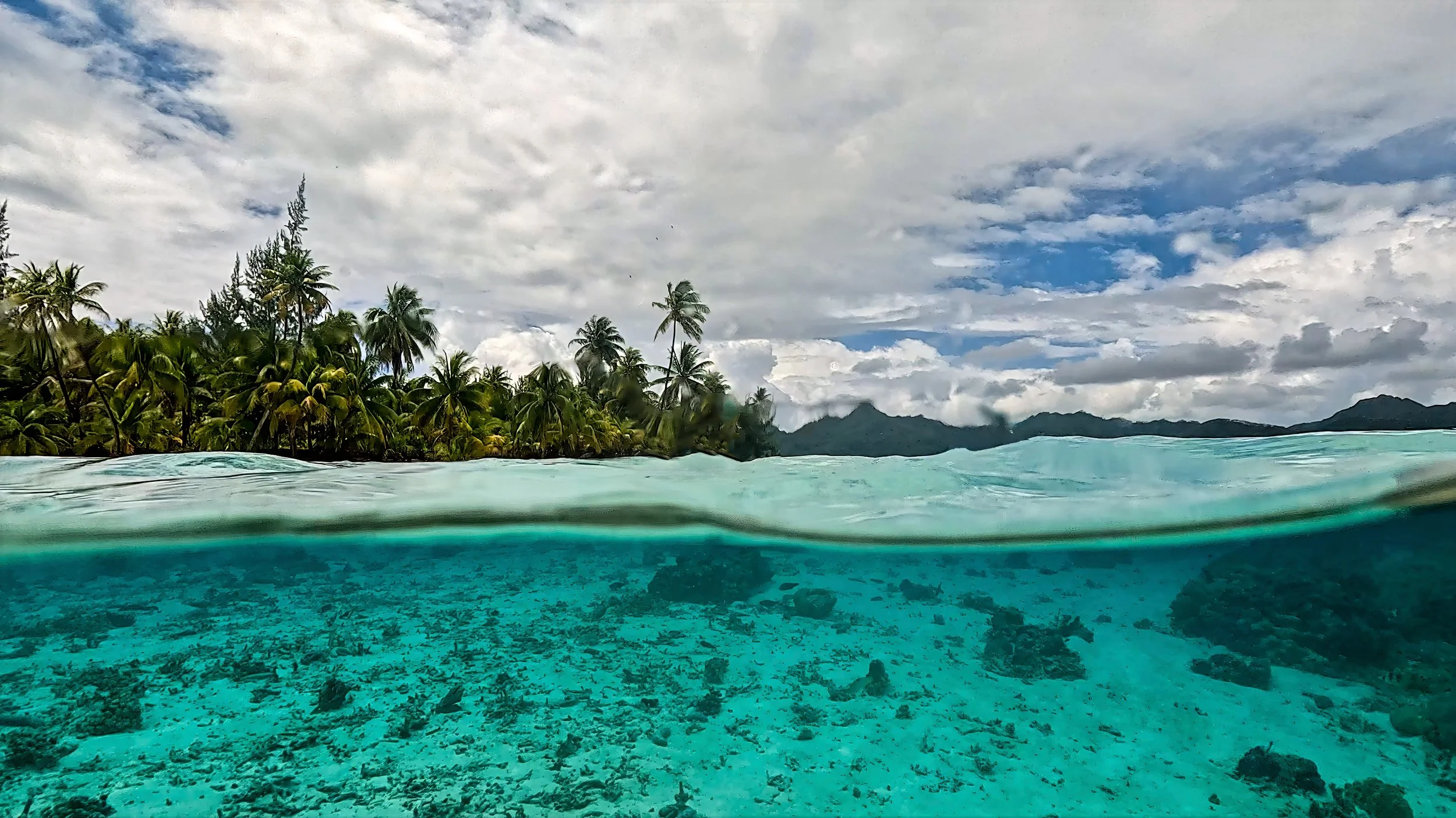 Tahaa 1 (179).jpg