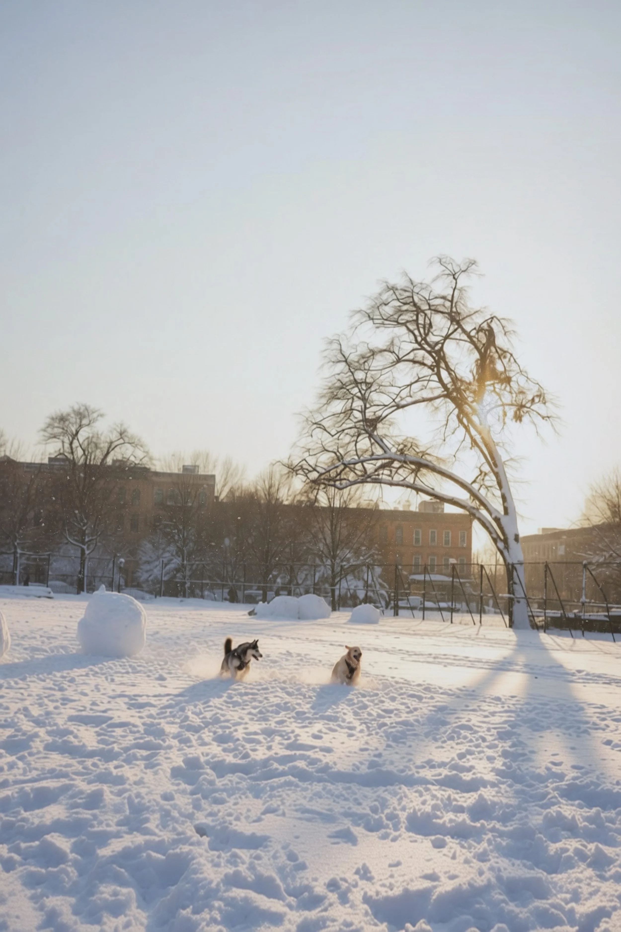 Facetune_07-04-2026-23-52-55.jpeg