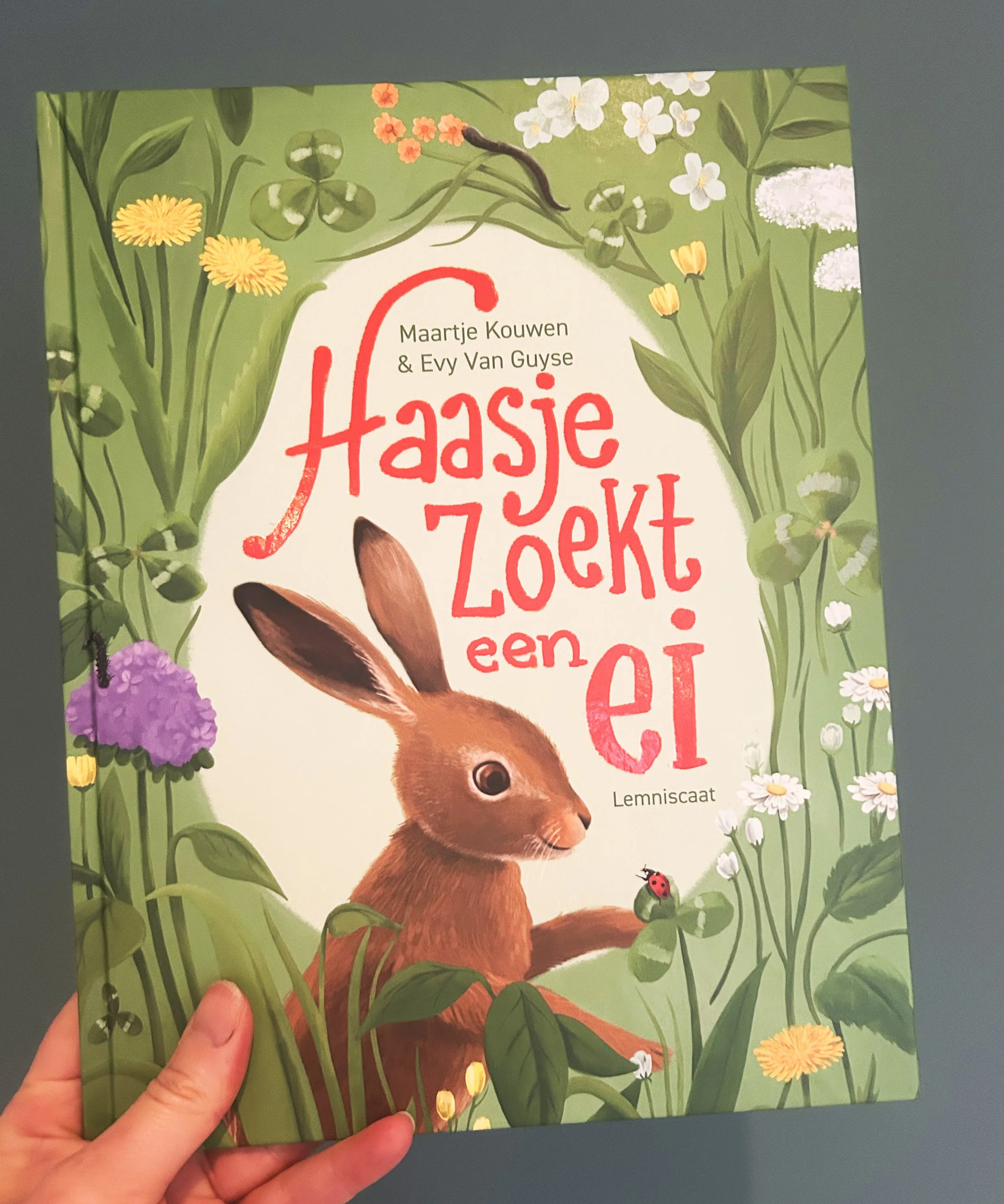 Prentenboek - Haasje zoekt een ei