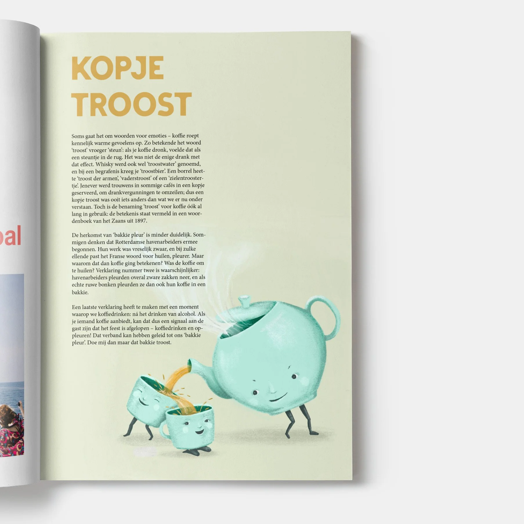 troost mockup.jpg