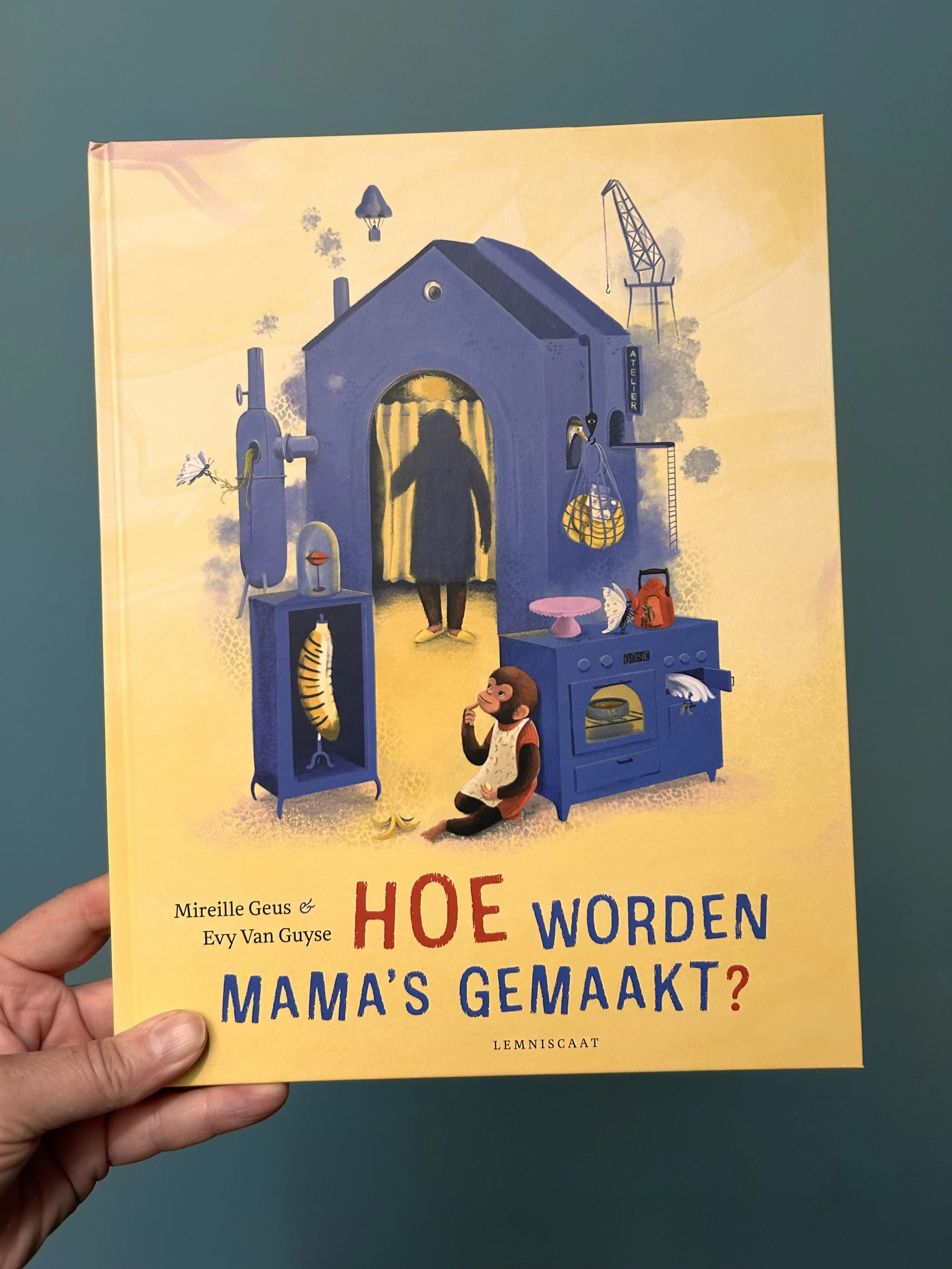 Prentenboek - Hoe worden mama's gemaakt